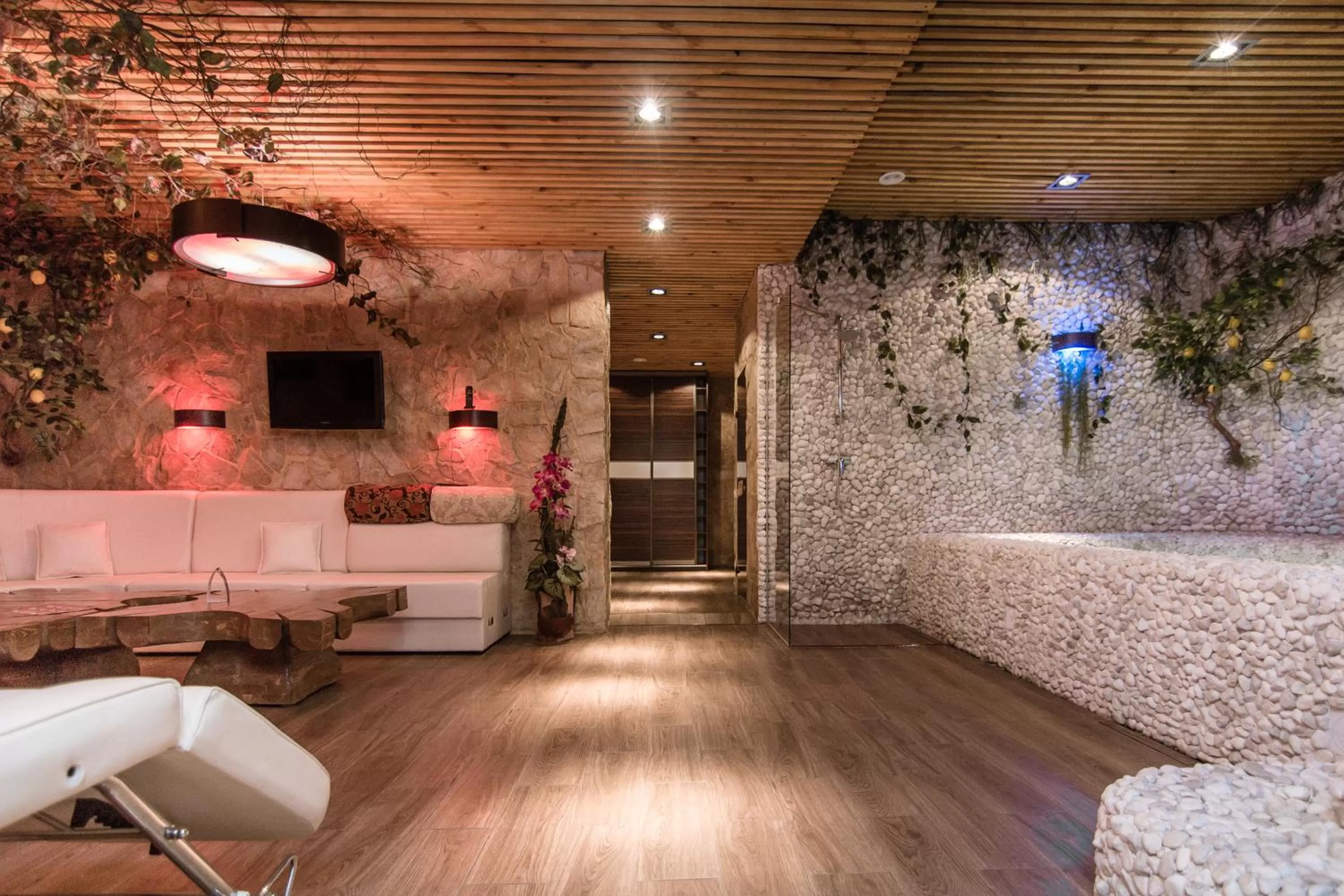 Photo of the whole room in Boutique Hotel California