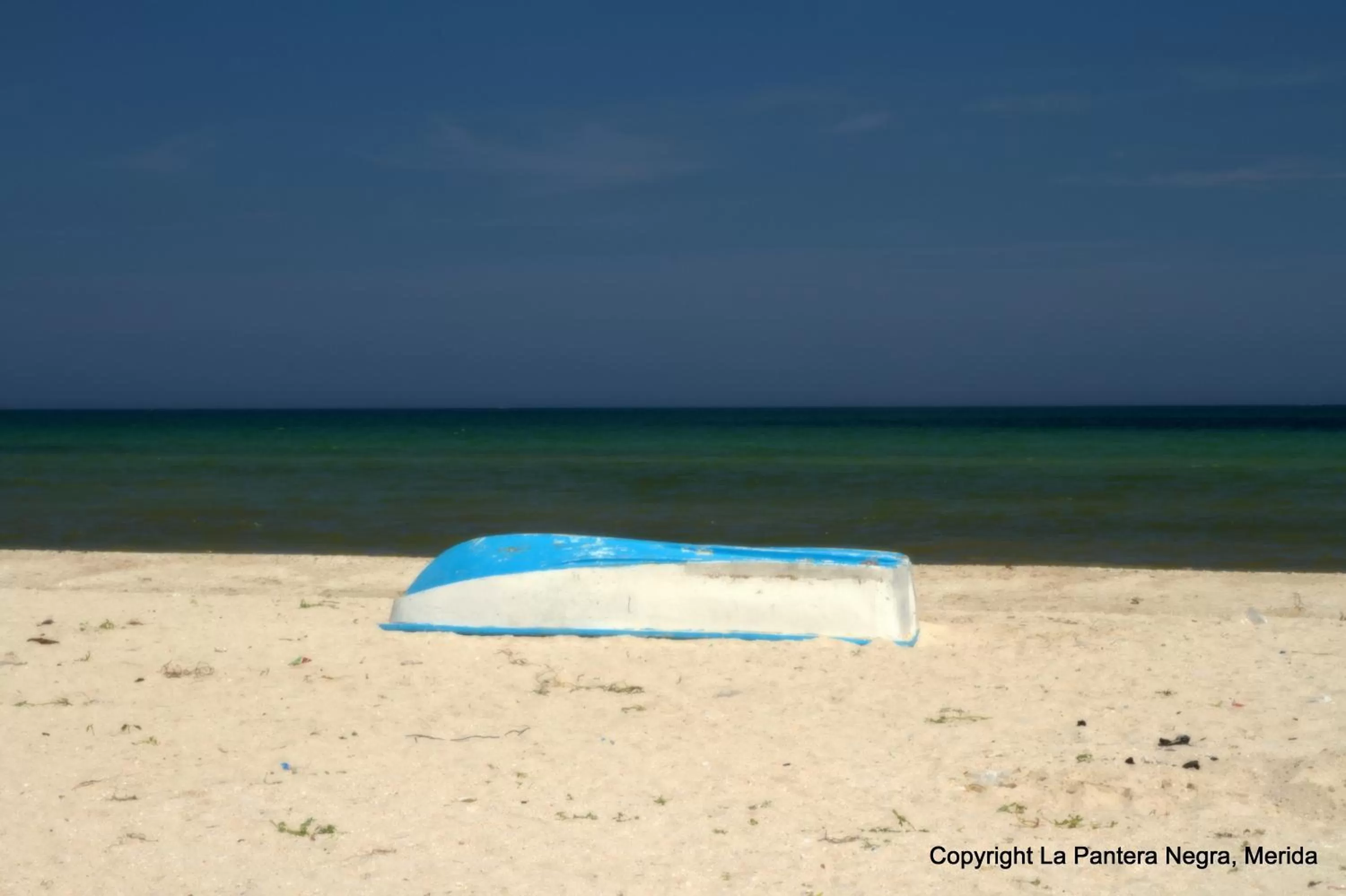 Beach in La Pantera Negra
