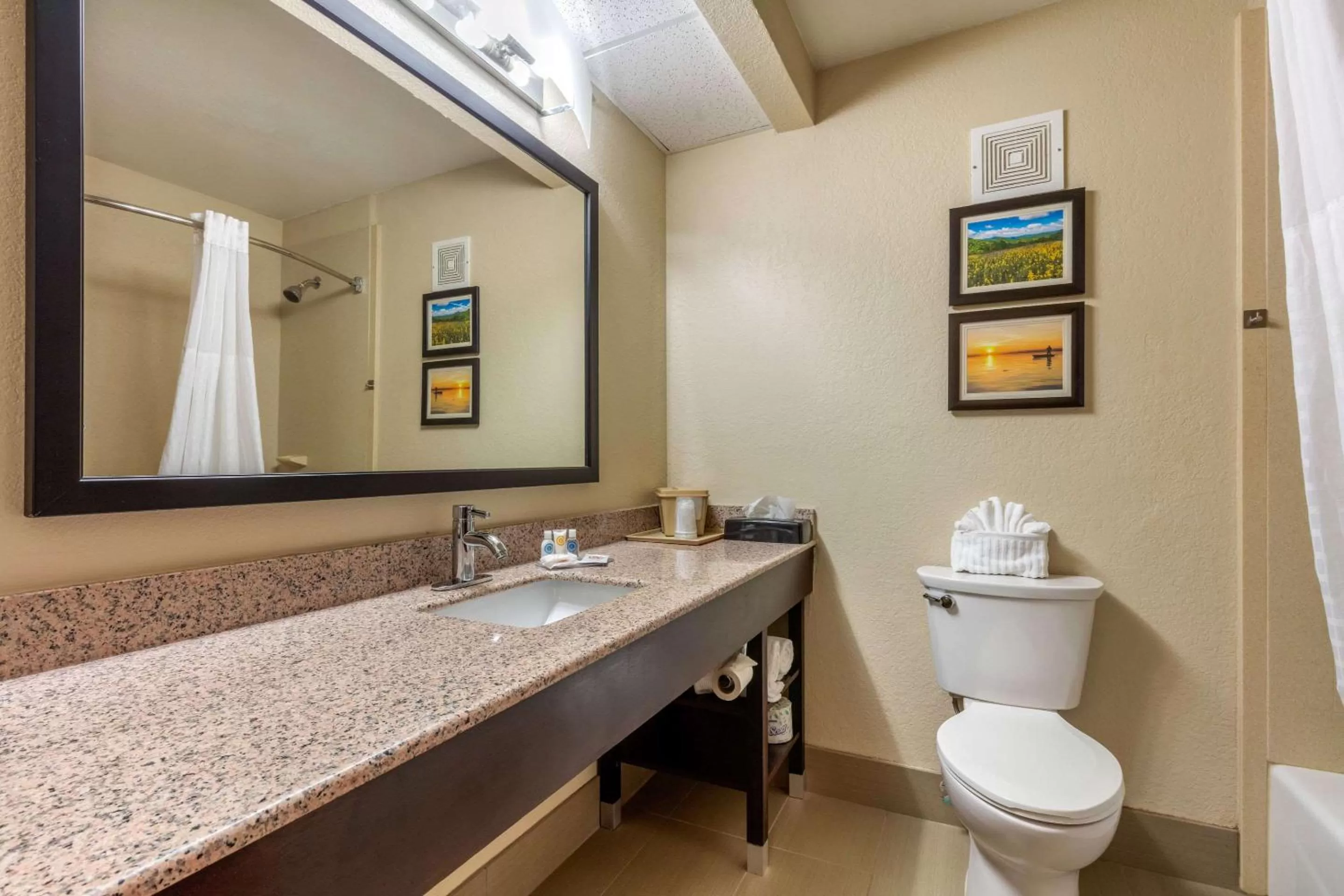 Bathroom in Comfort Inn Lenoir City-Knoxville