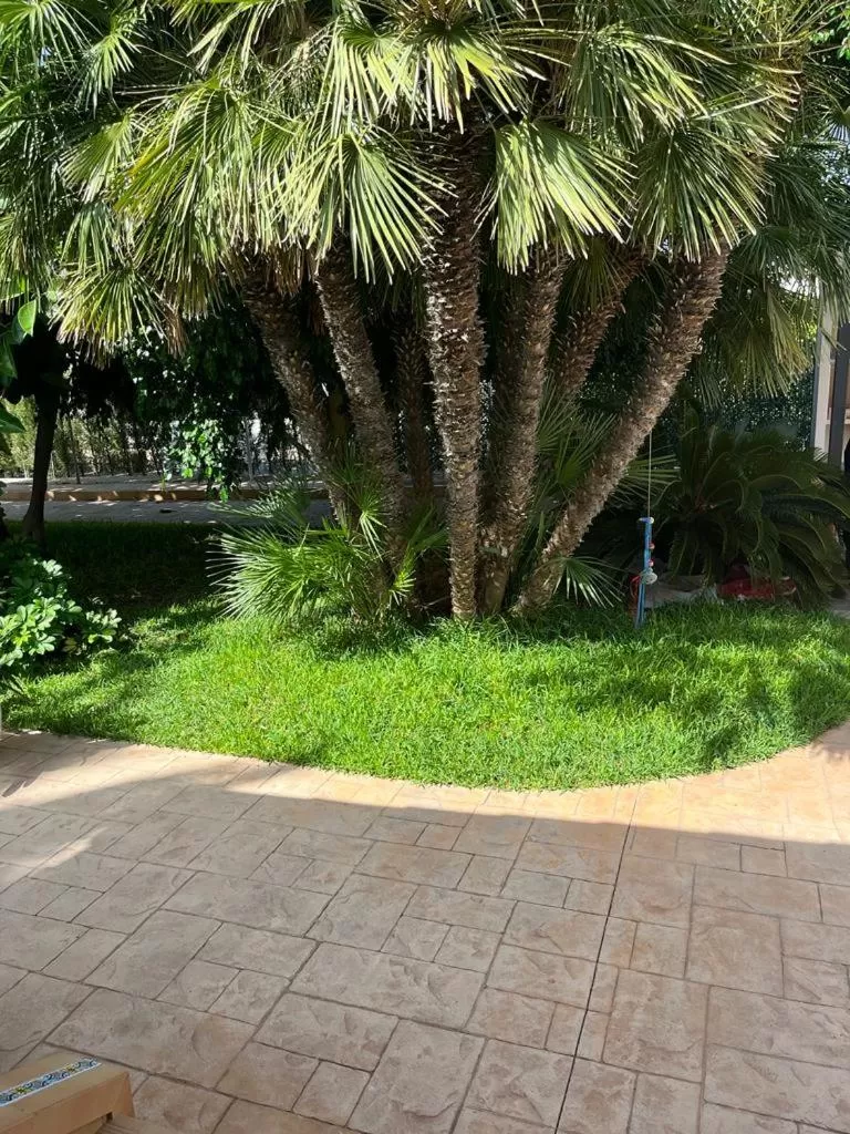 Garden in Casa Veronica