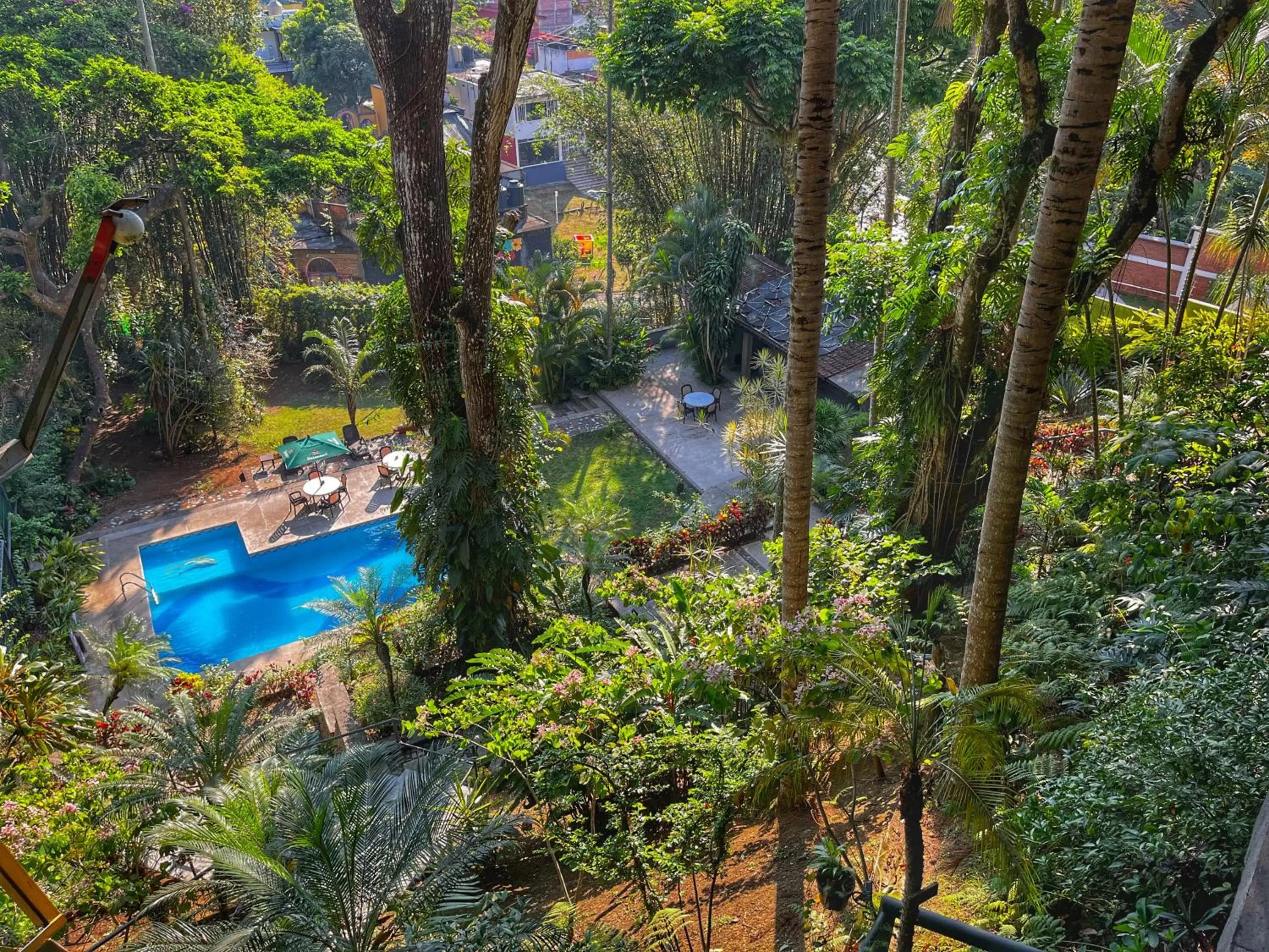 Swimming pool in Comfort Inn Cordoba