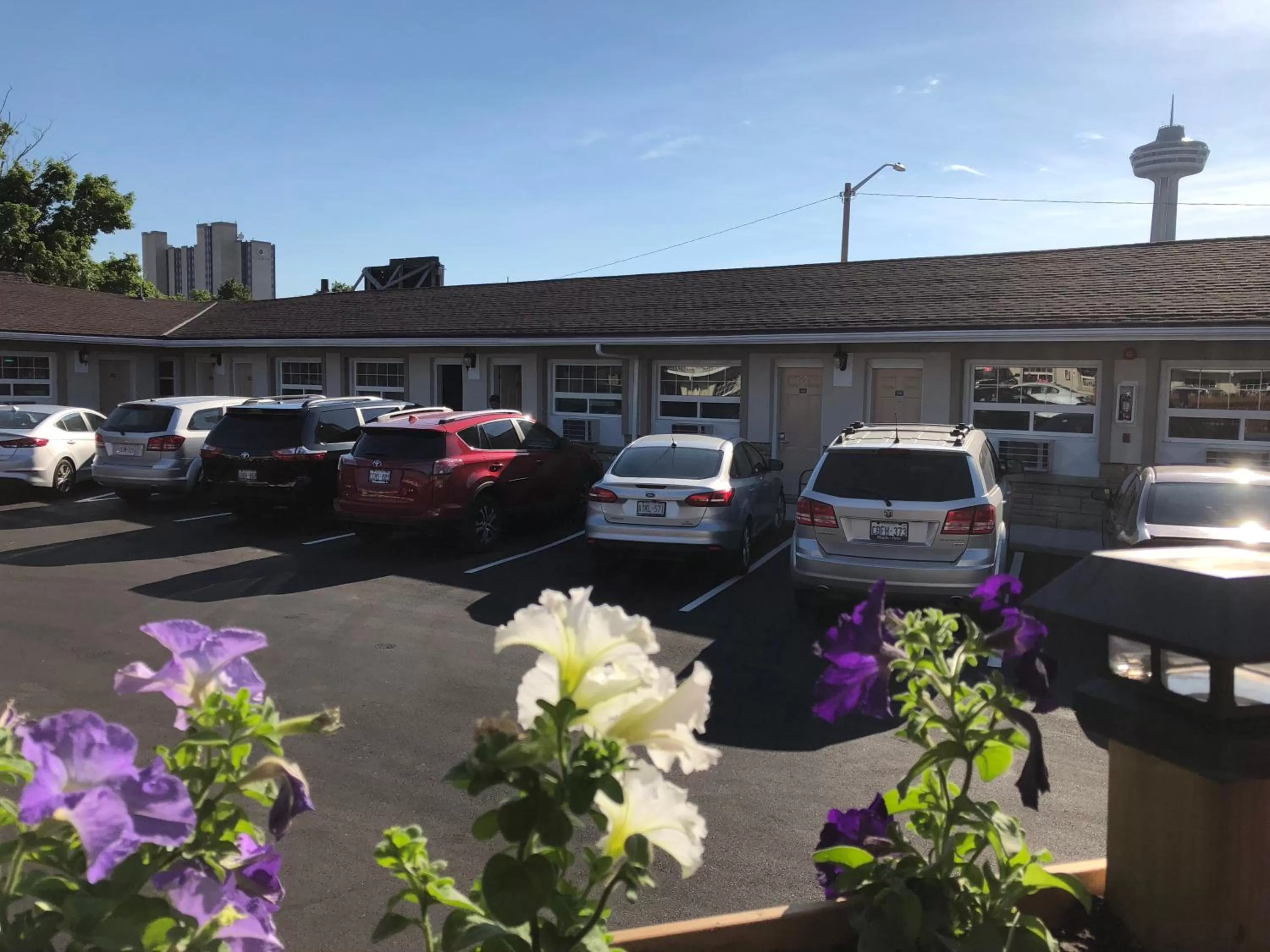 Property building in Falls Lodge by the Falls (Formerly Knights Inn)