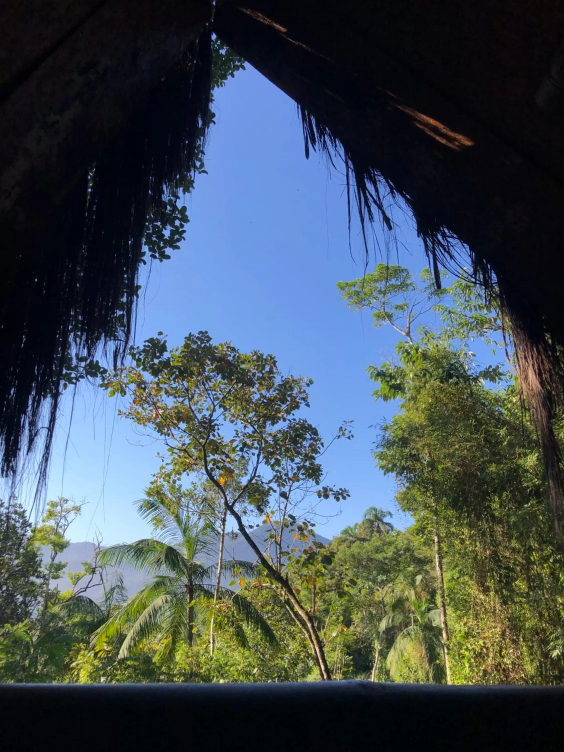 Day in Sitio Simple Life