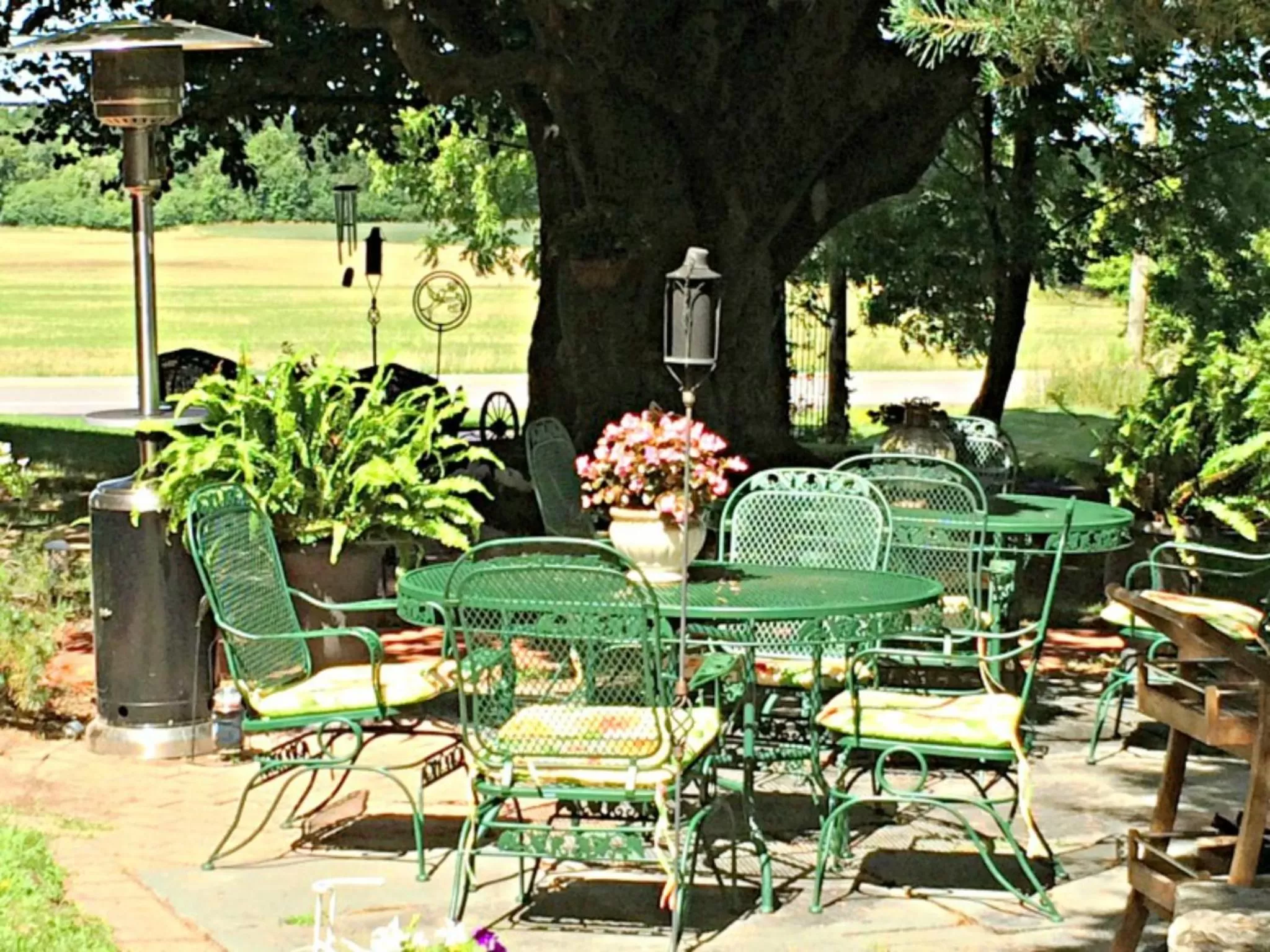 Garden in Sutherland House Victorian Bed and Breakfast