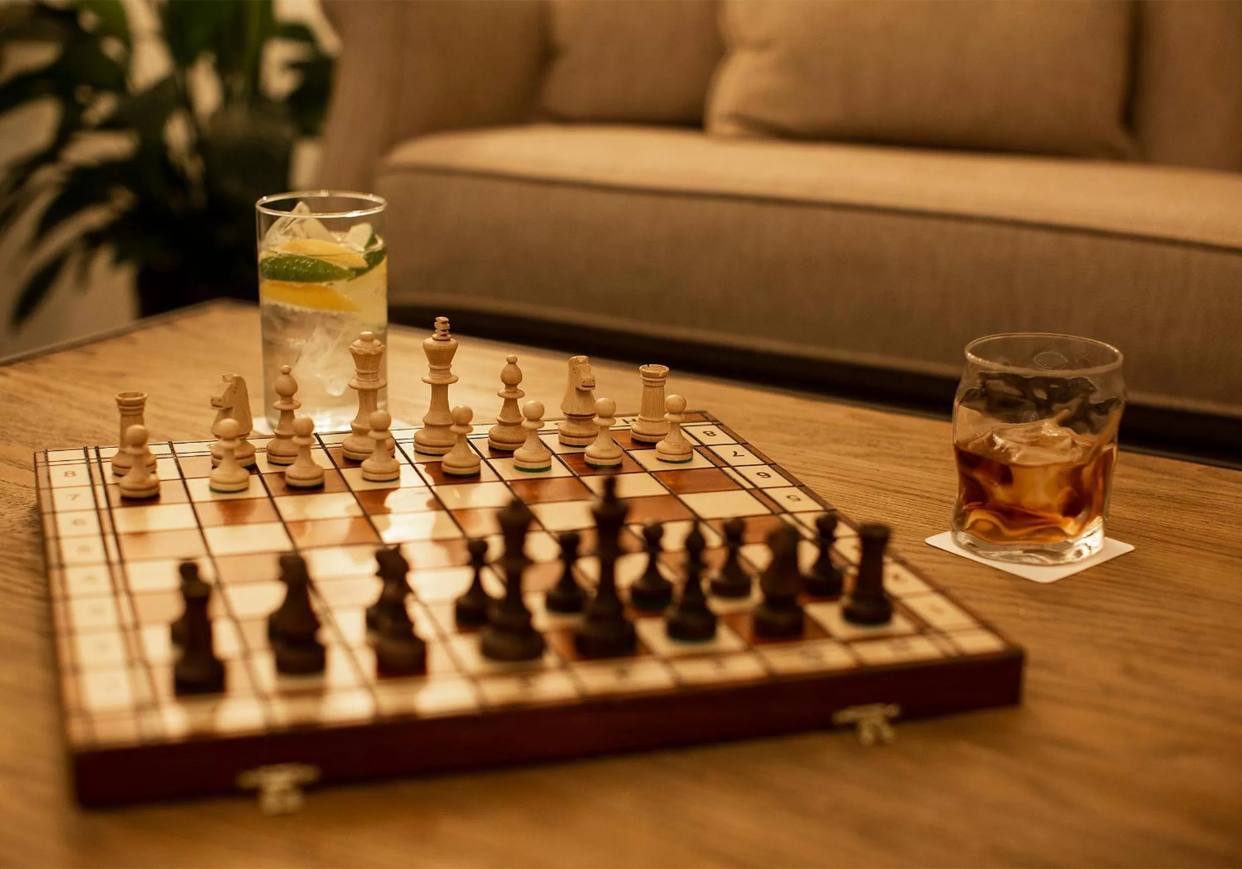 Activities in Hotel Eden Park by Brava Hoteles