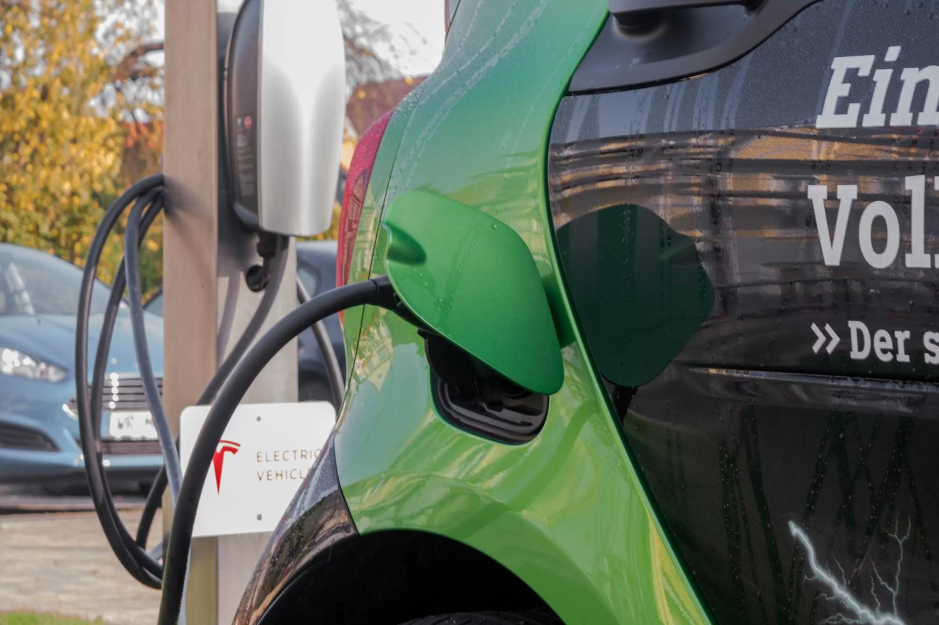 Other in Boutiquehotel Schloßpalais