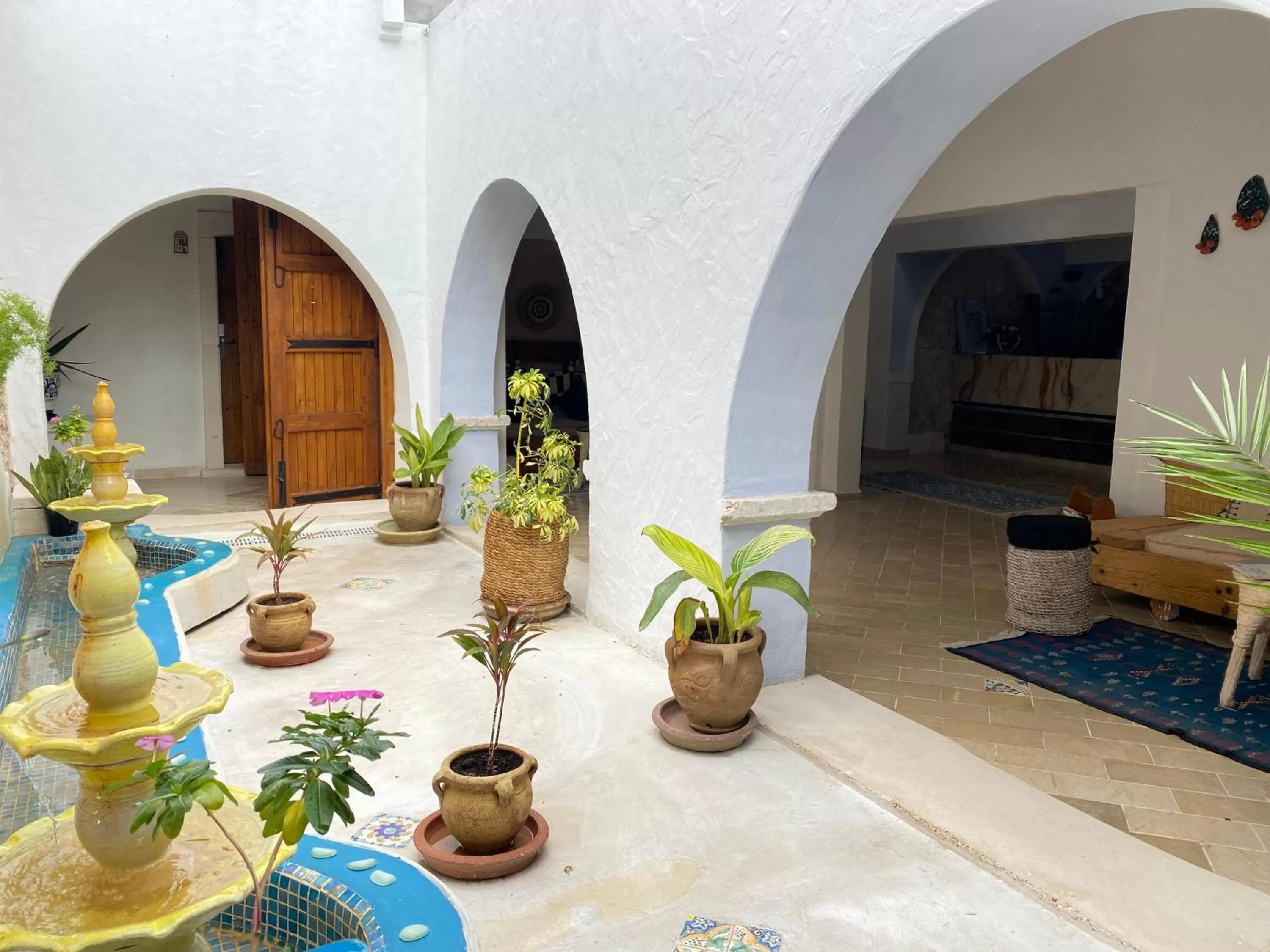 Garden in Hôtel Djerba Authentique - Au centre de Midoun