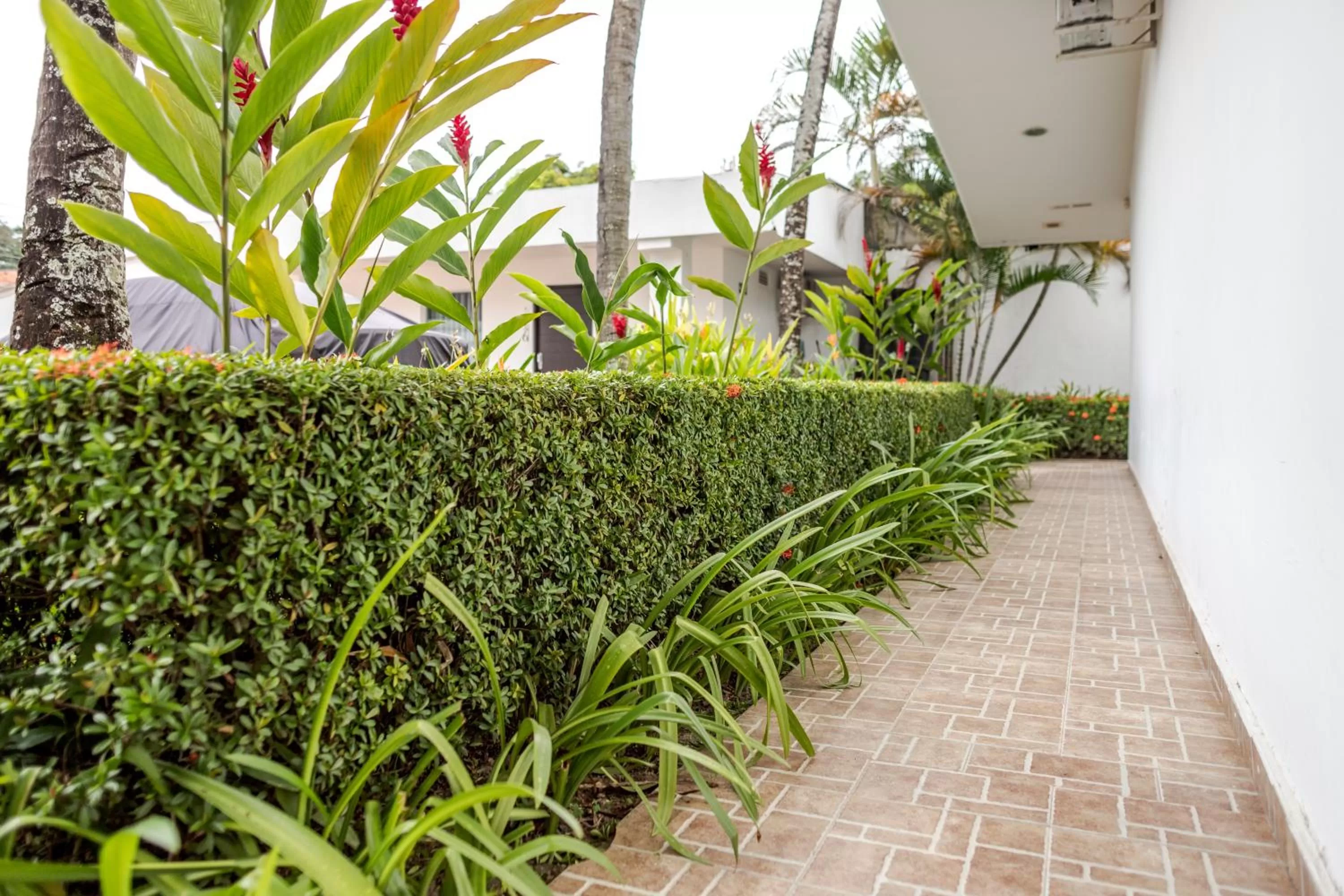 Garden in Hotel Manantial Melgar