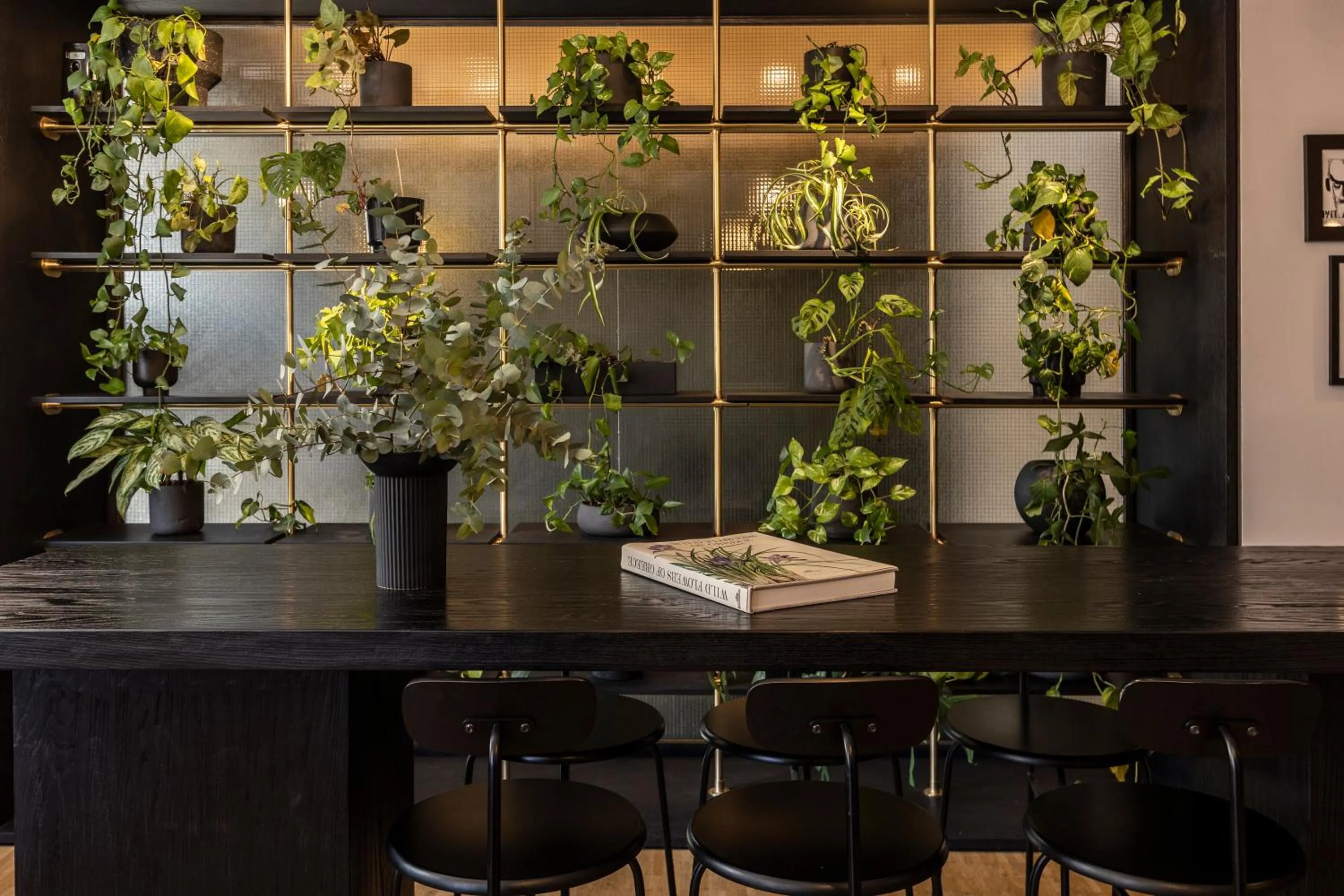 Restaurant/places to eat in The Modernist Athens