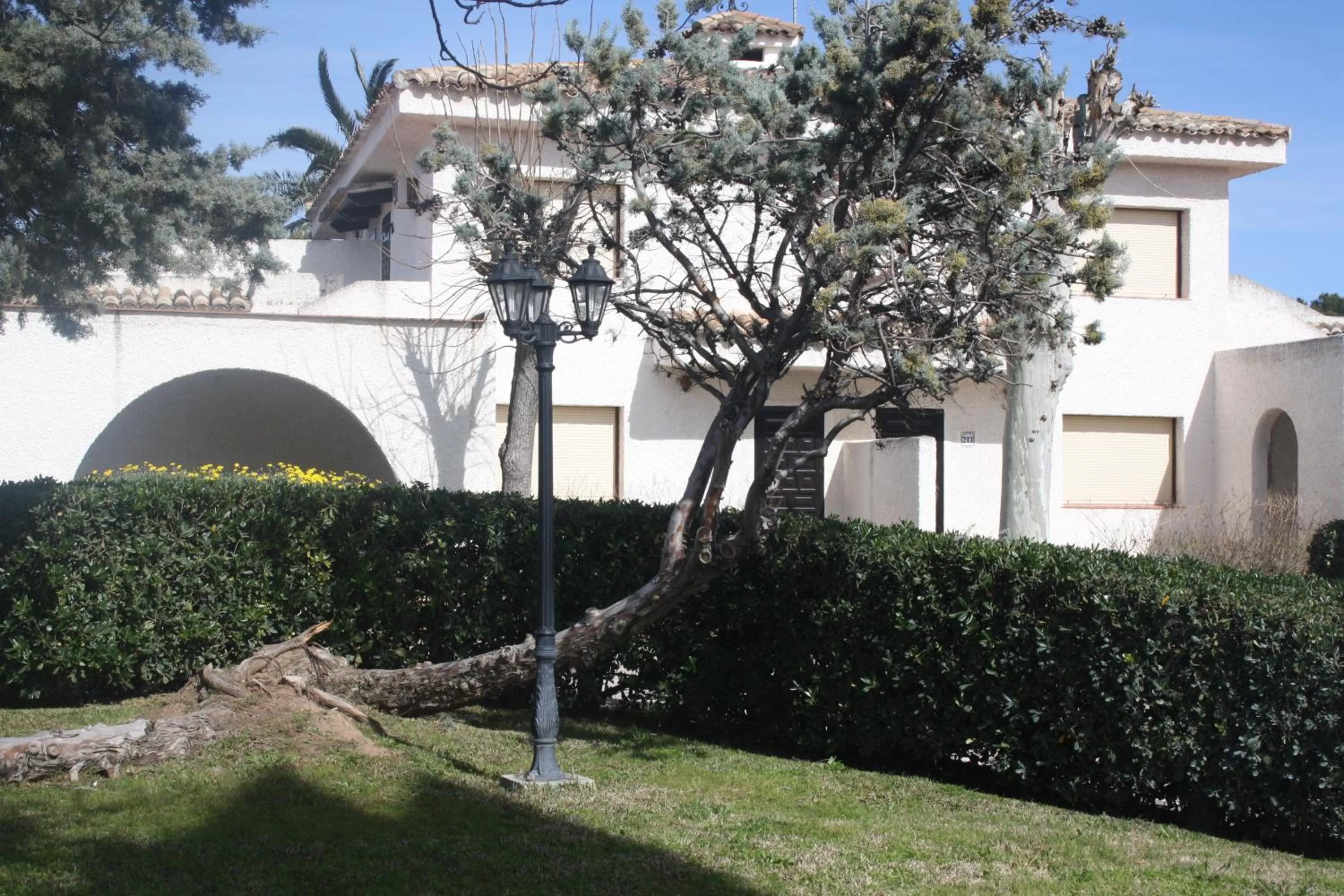 Garden in Hotel La Carreta
