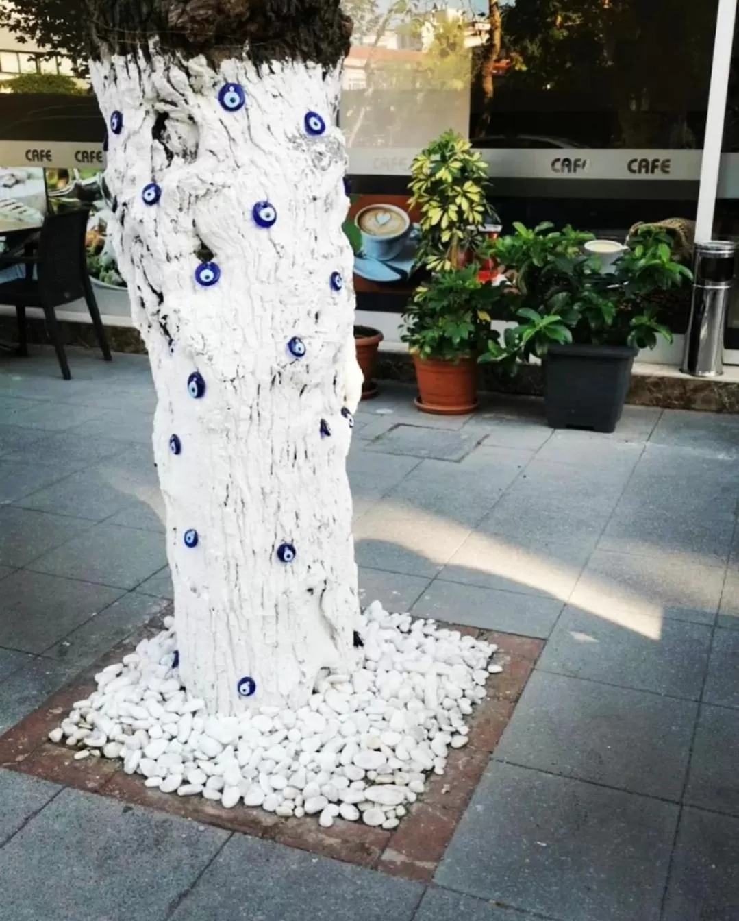 Garden in Punta Vista Hotel