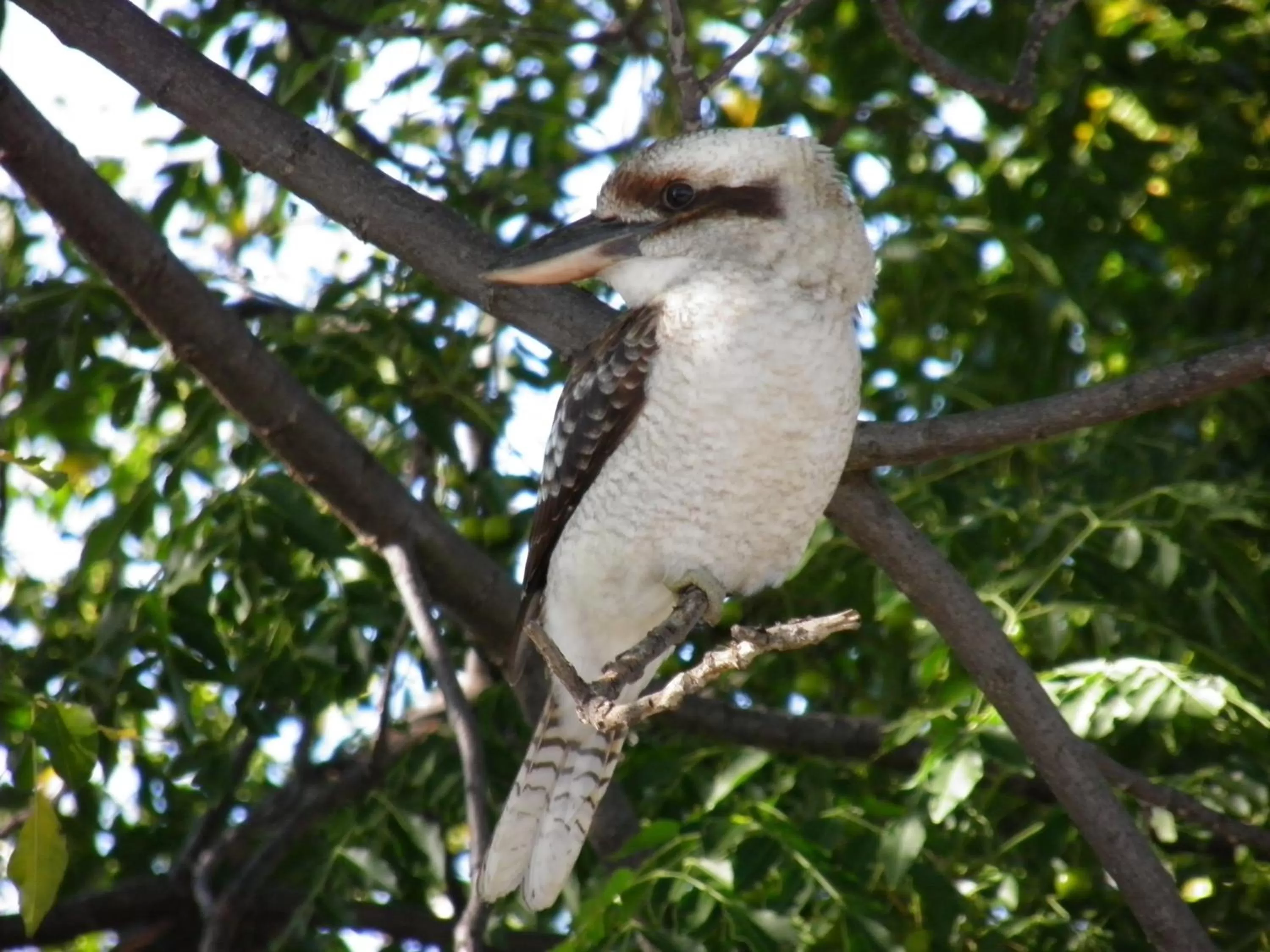 Area and facilities in 7th Street Motel