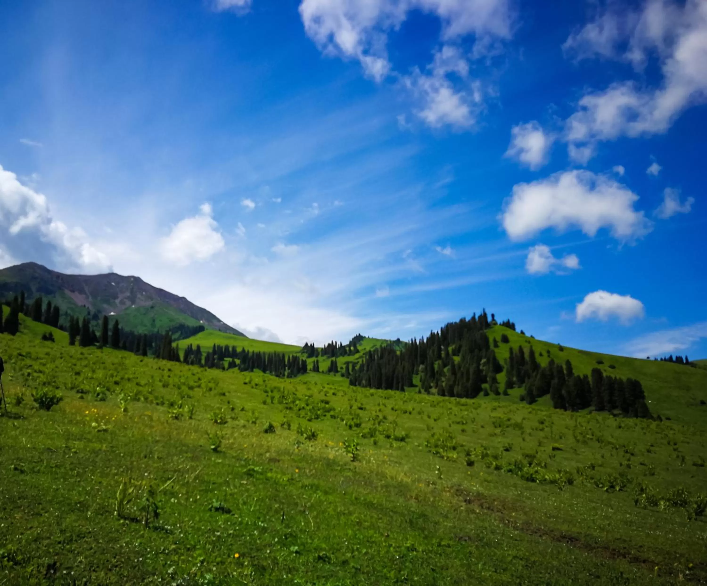 Natural landscape in Salut Hotel