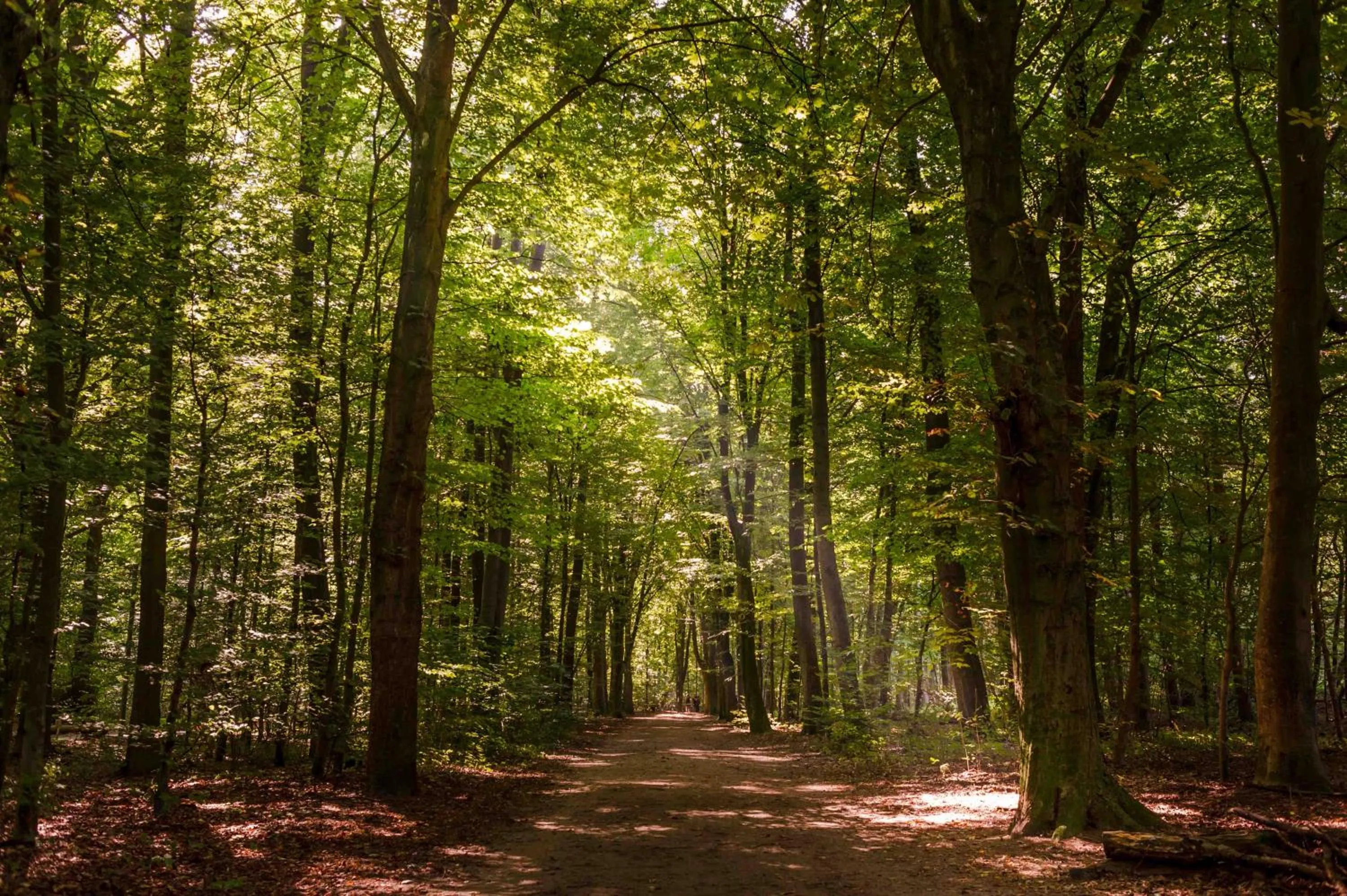 Nearby landmark in Hotel Business & More