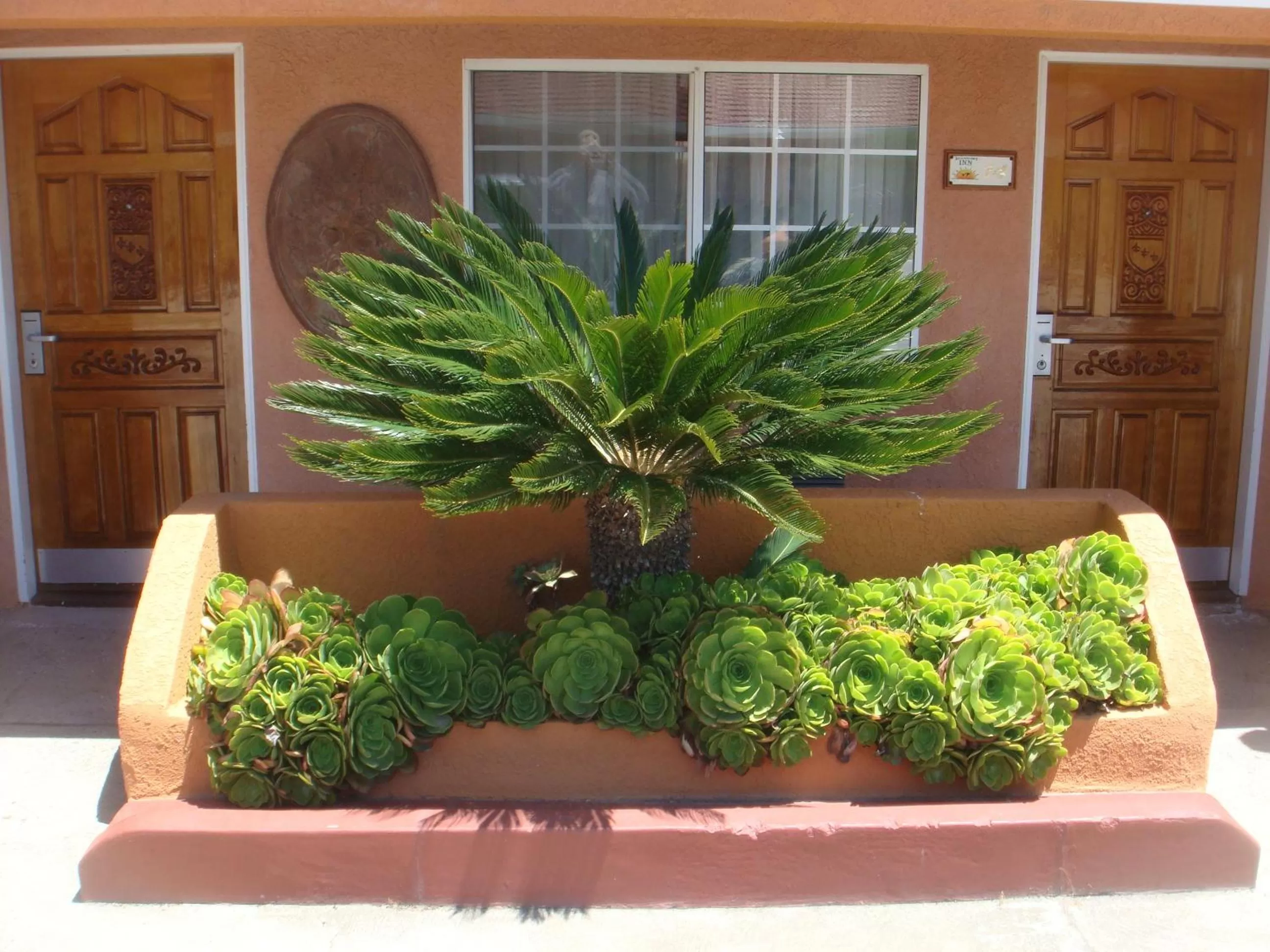 Garden in Economy Inn Los Banos