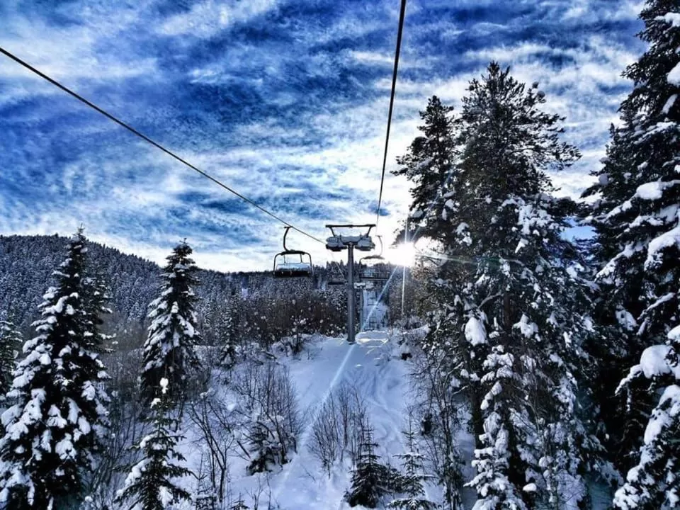 Natural landscape, Winter in Hotel Shgedi Mestia
