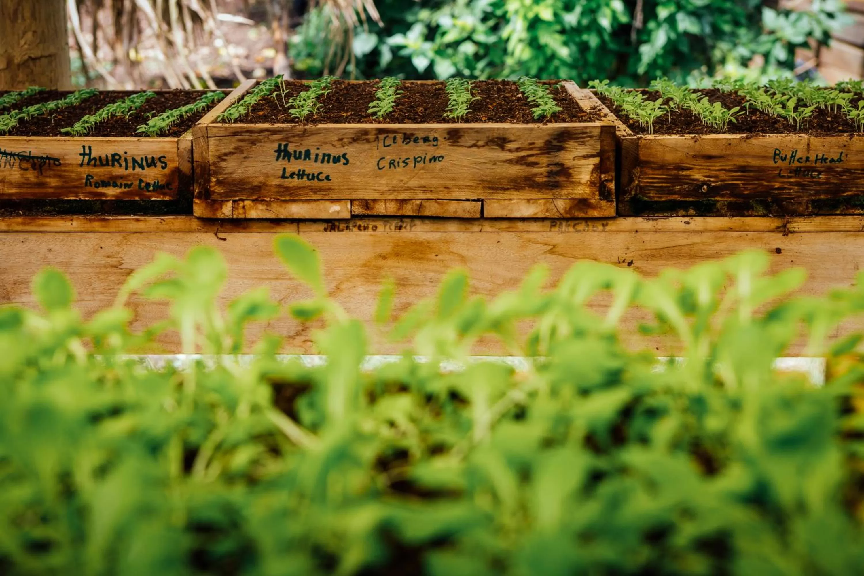 Activities in The Lodge at ChaaCreek