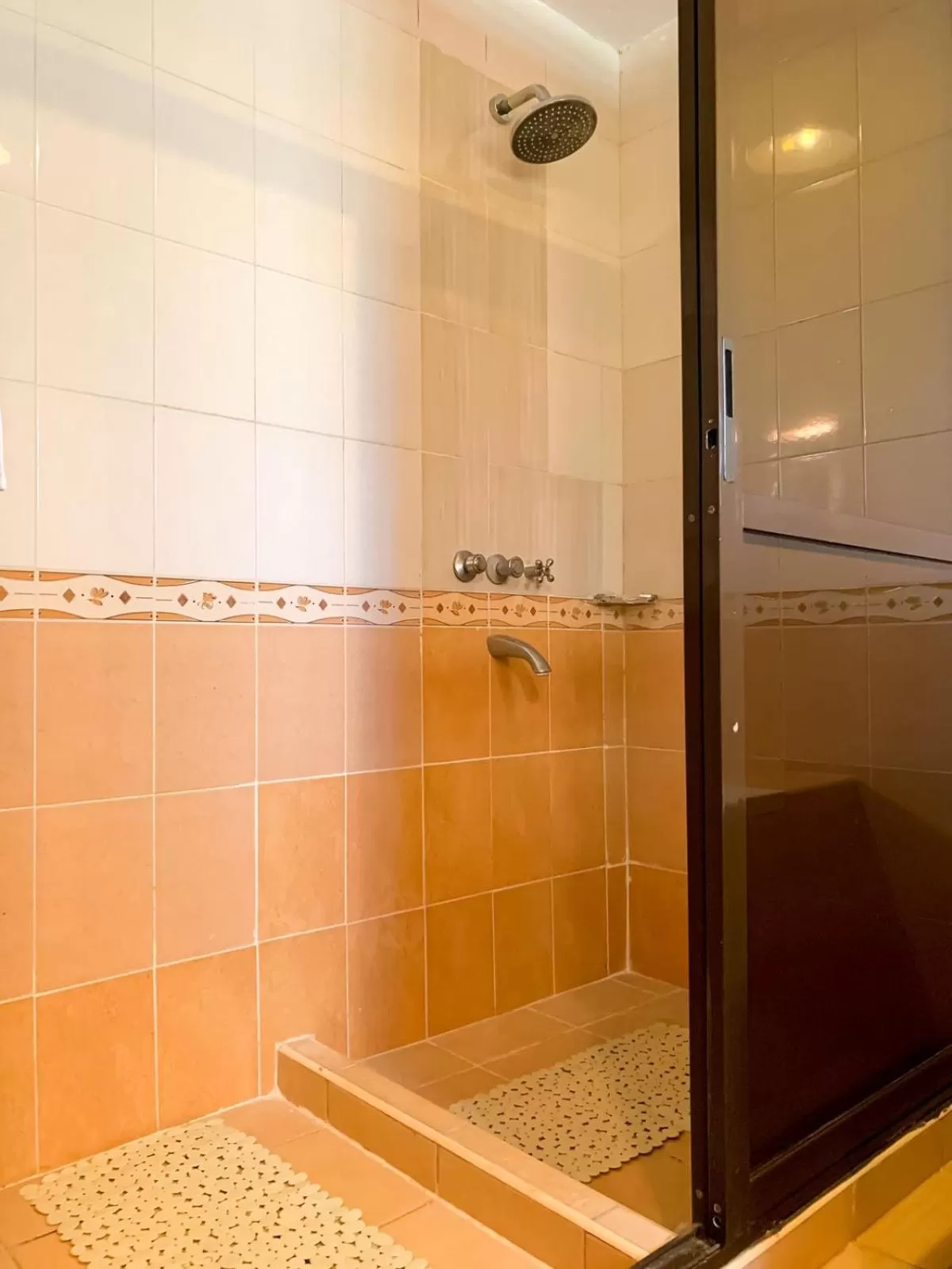 Shower in Oilepo Cottage