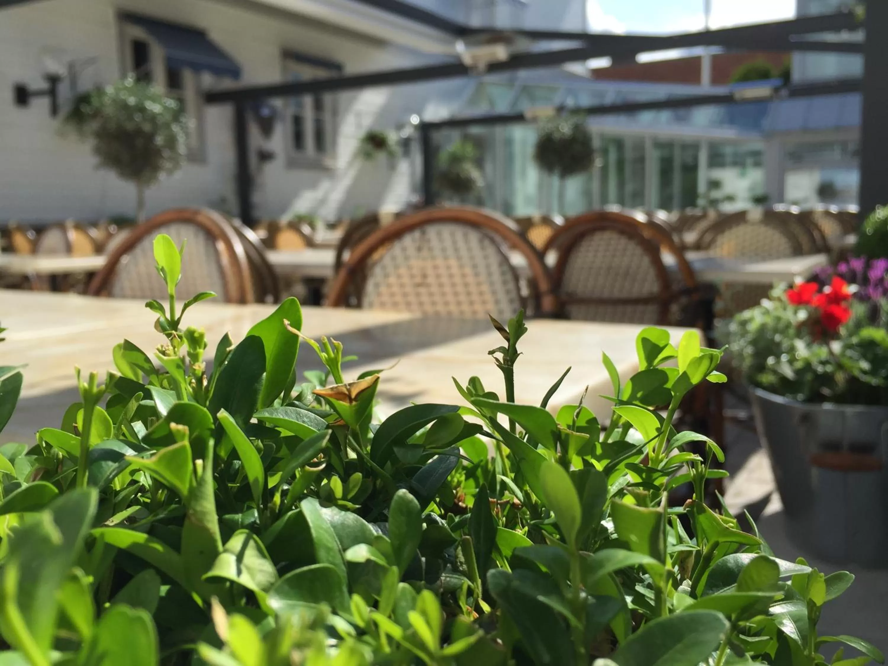 Inner courtyard view in Scandic Arvika