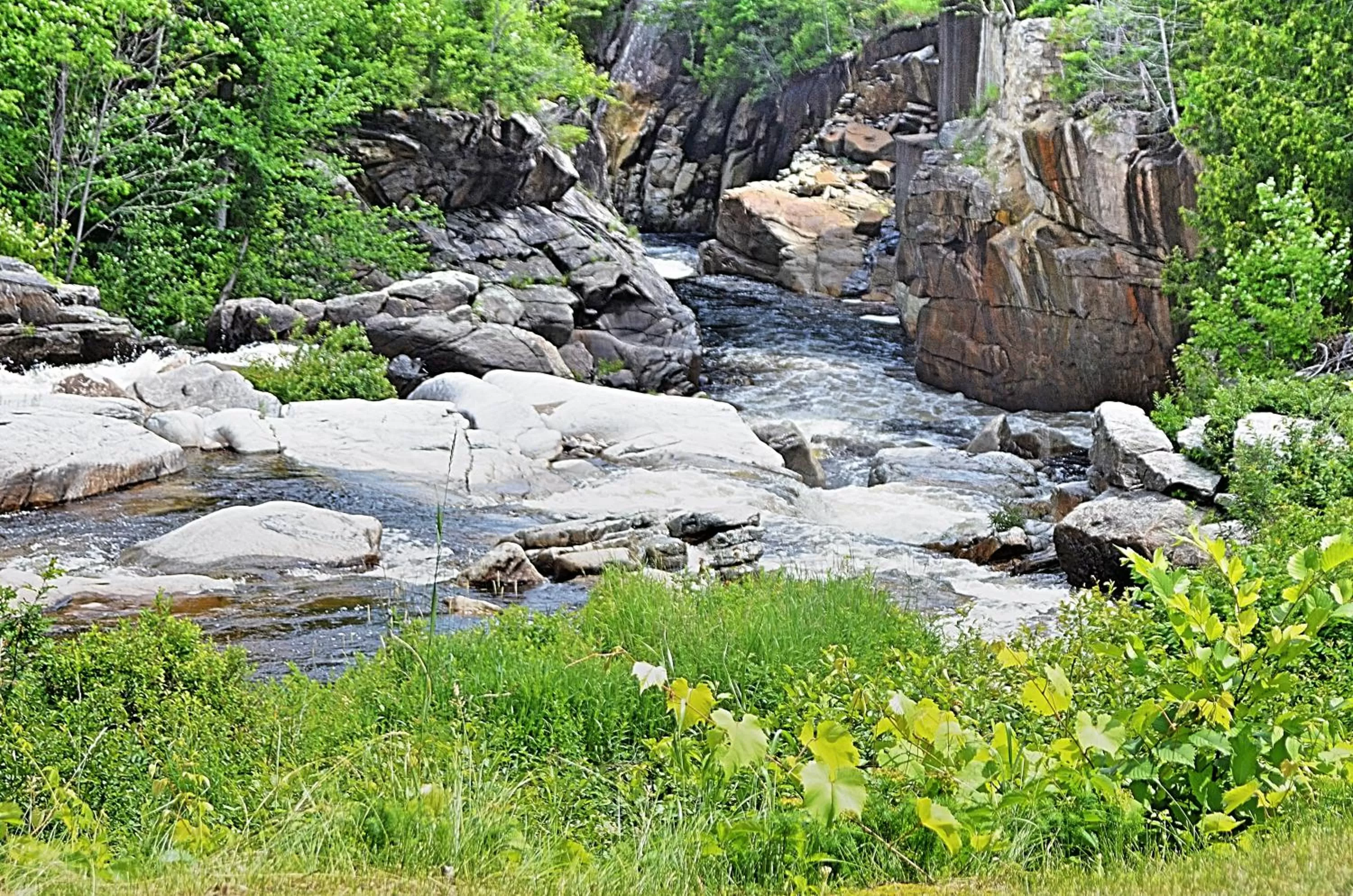 Restaurant/places to eat in Hungry Trout Resort