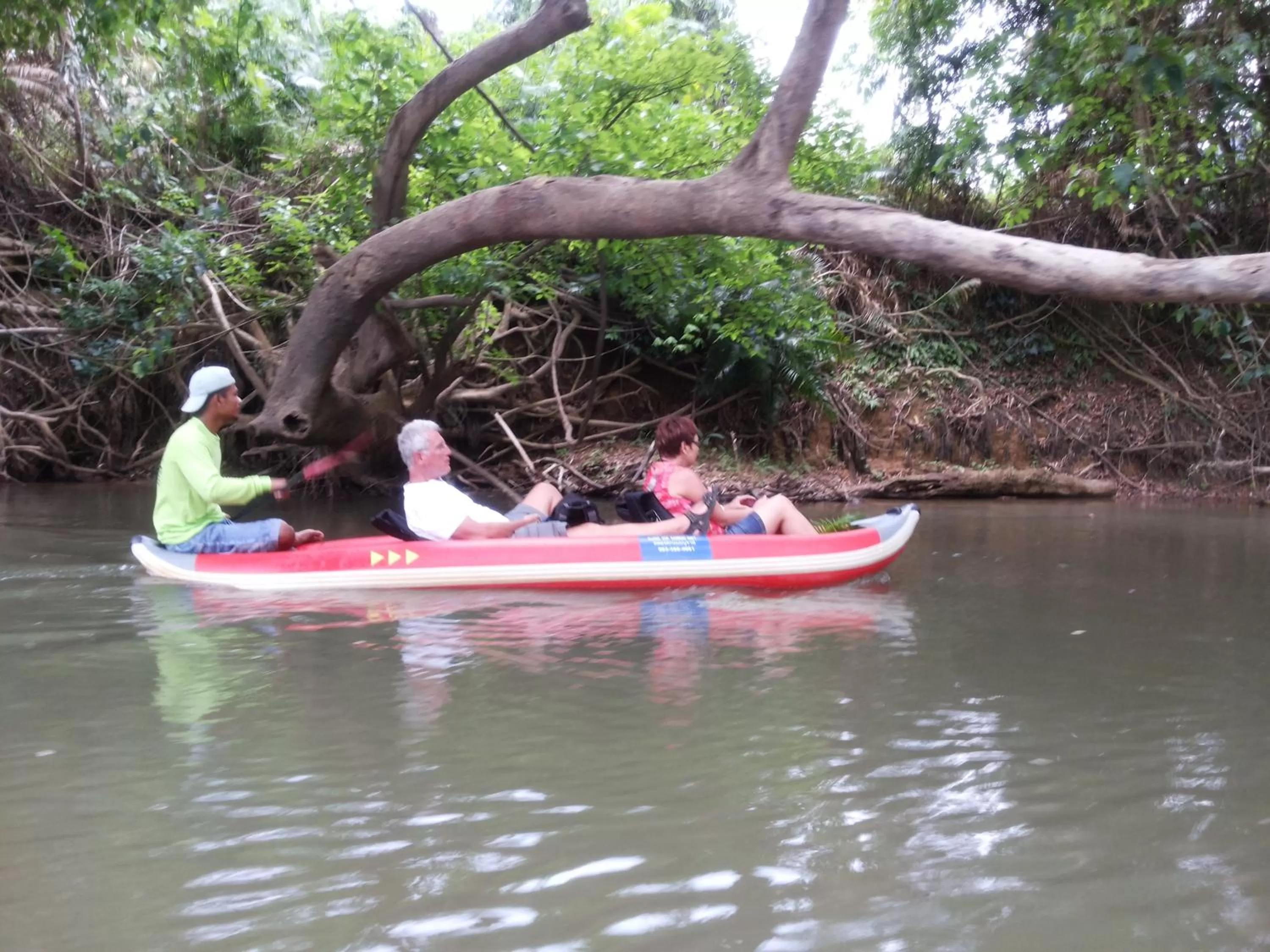 Activities in Khao Sok Jungle Huts Resort