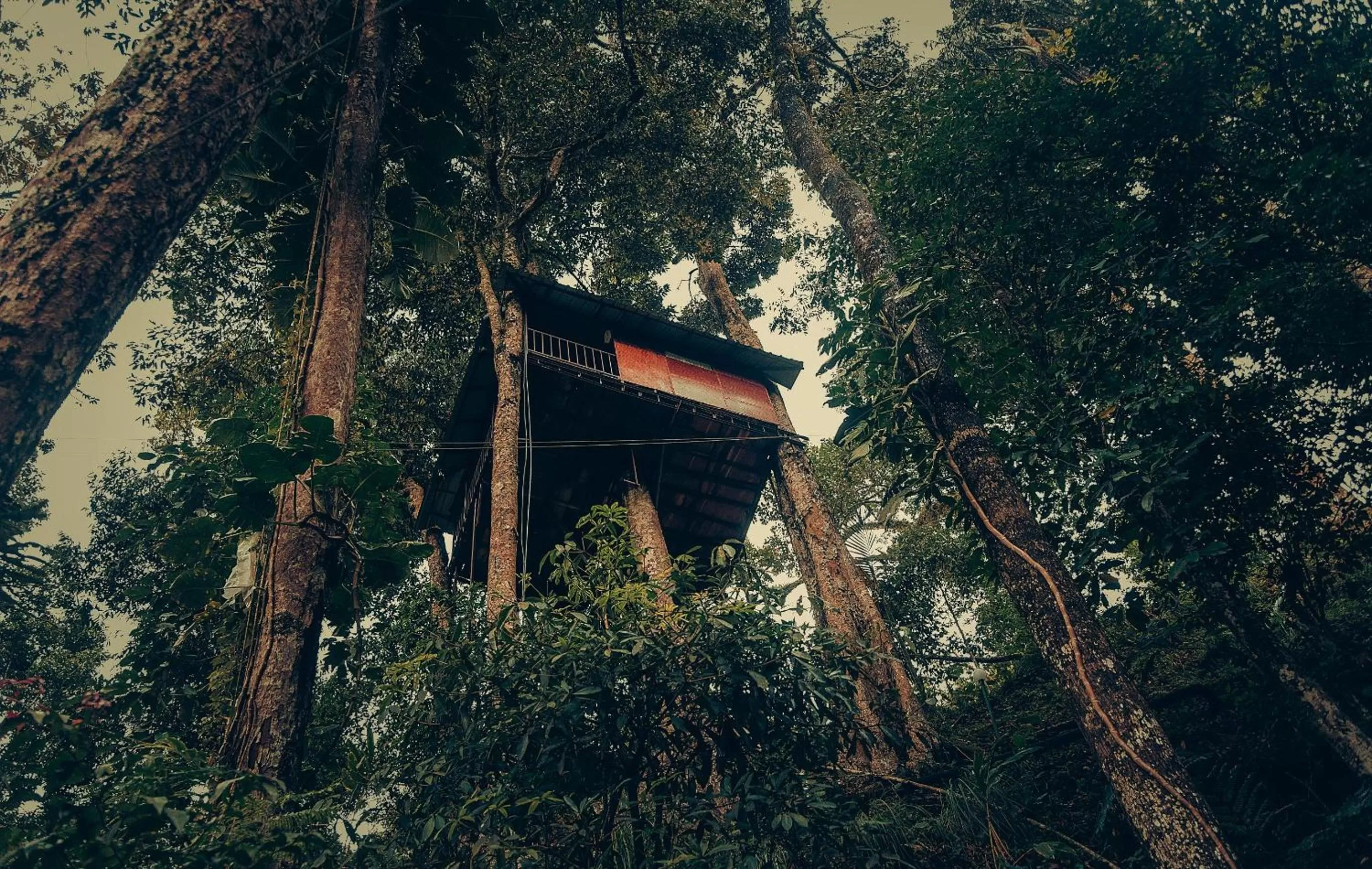 Property building in Ela Ecoland Nature Retreat