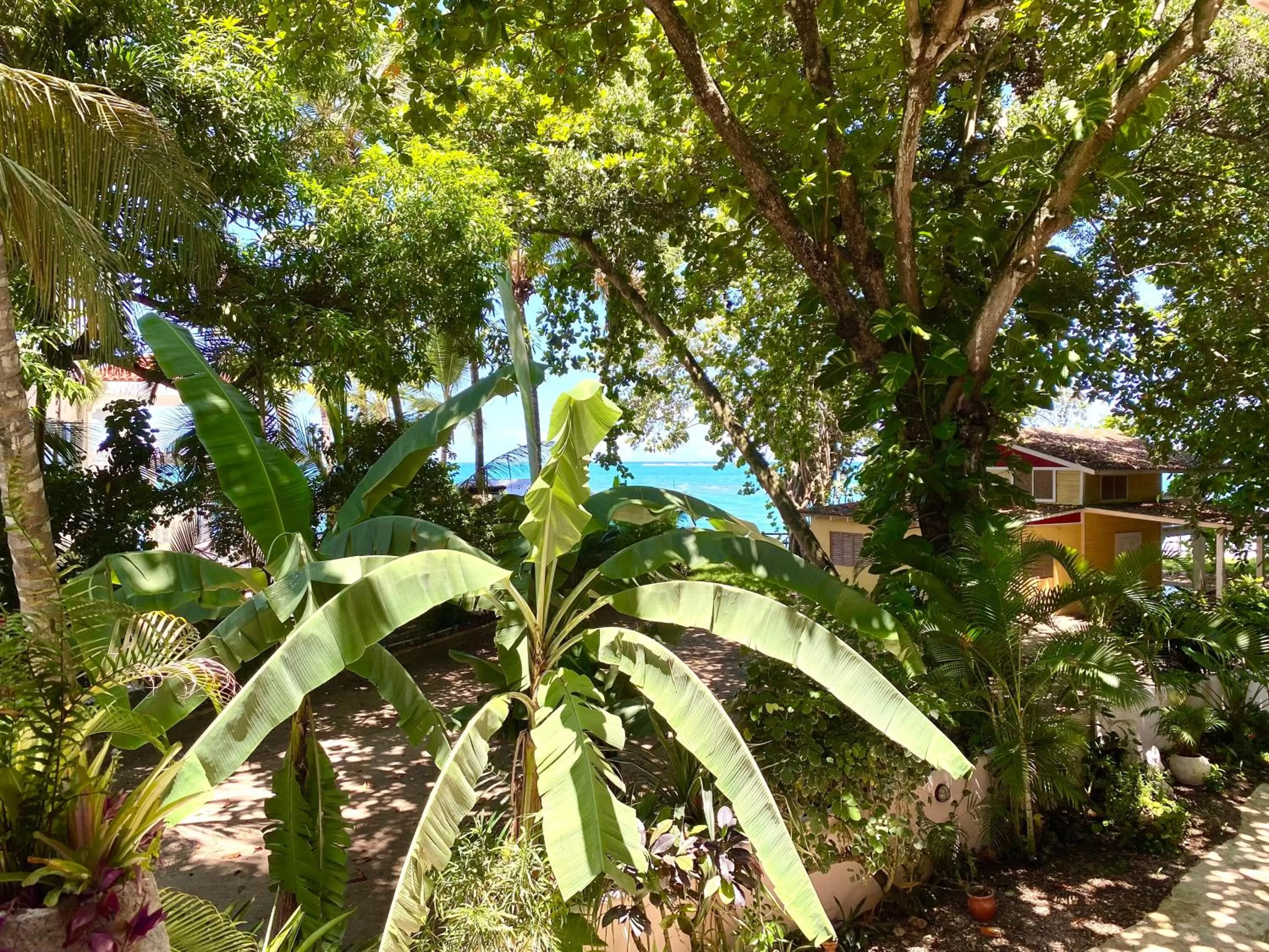 Balcony/Terrace in Hotel Alegria