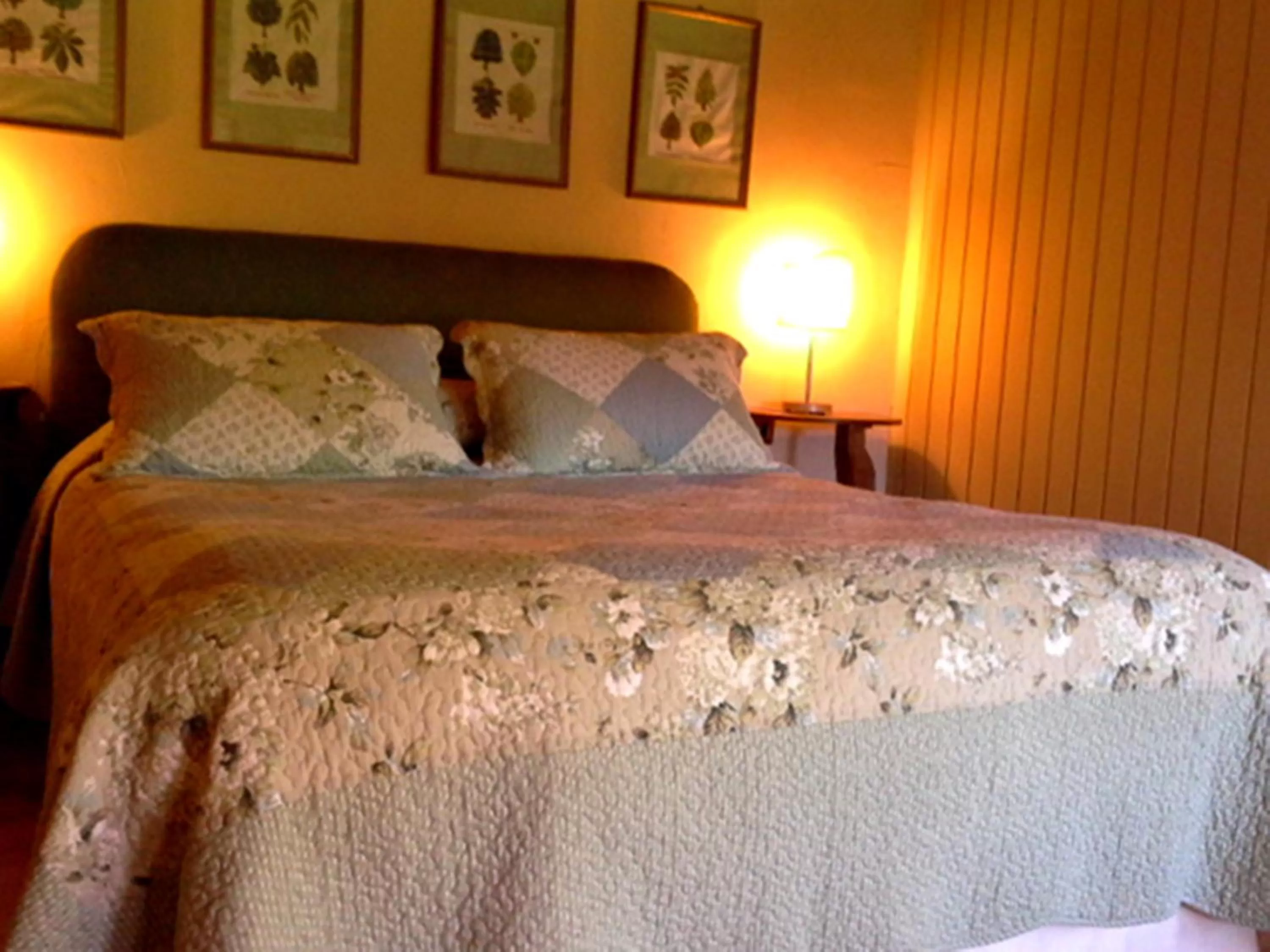 Bed, Room Photo in Hotel Salto del Carileufu