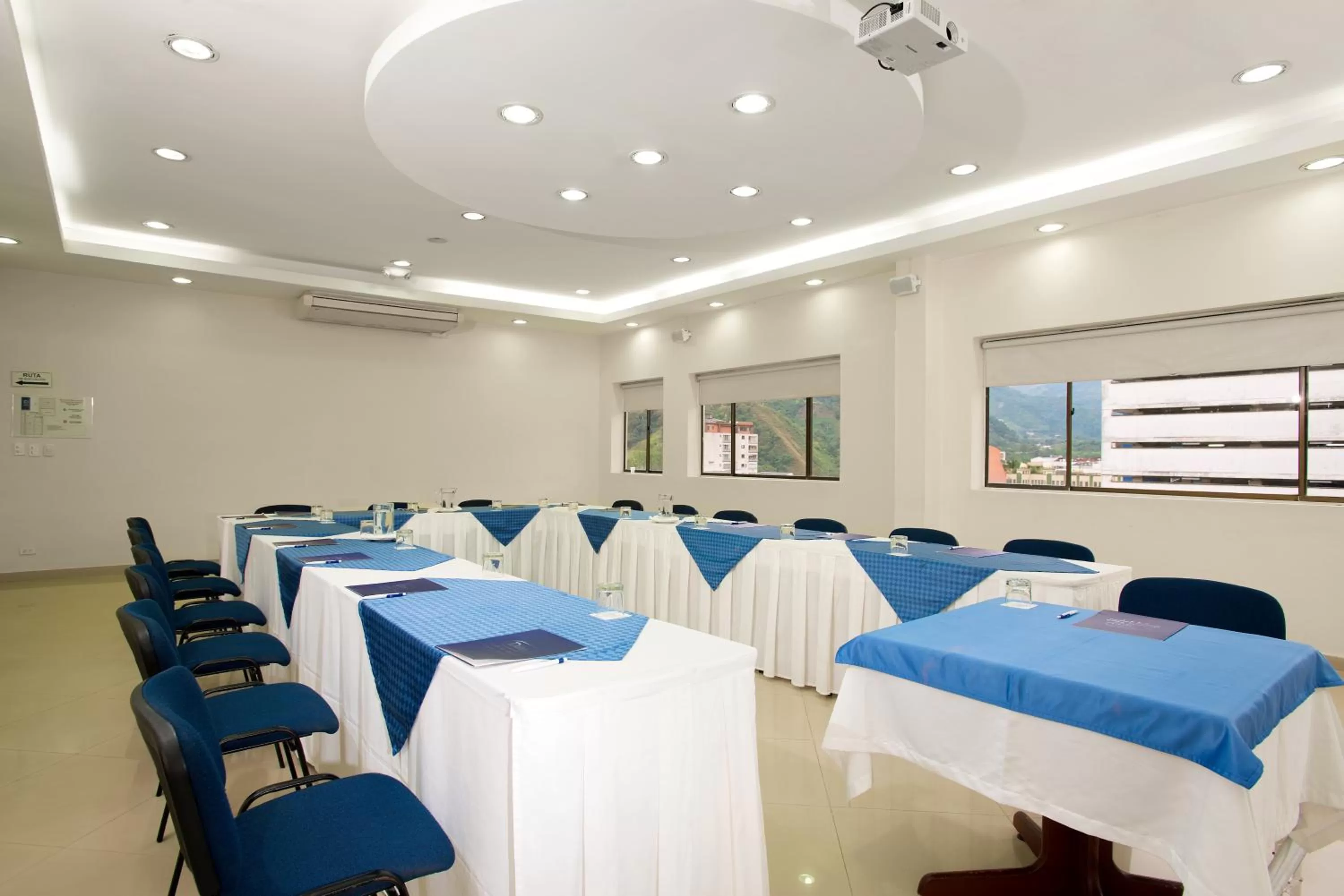 Business facilities in Hotel Dann Combeima