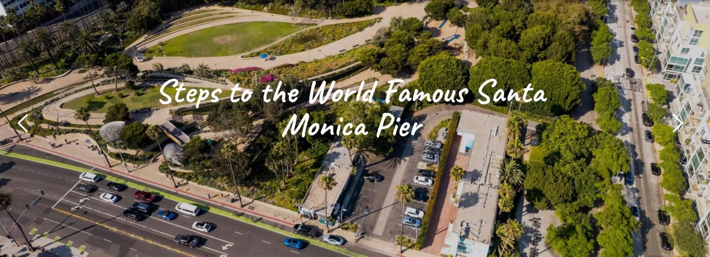 Natural landscape in Ocean Lodge Santa Monica Beach Hotel