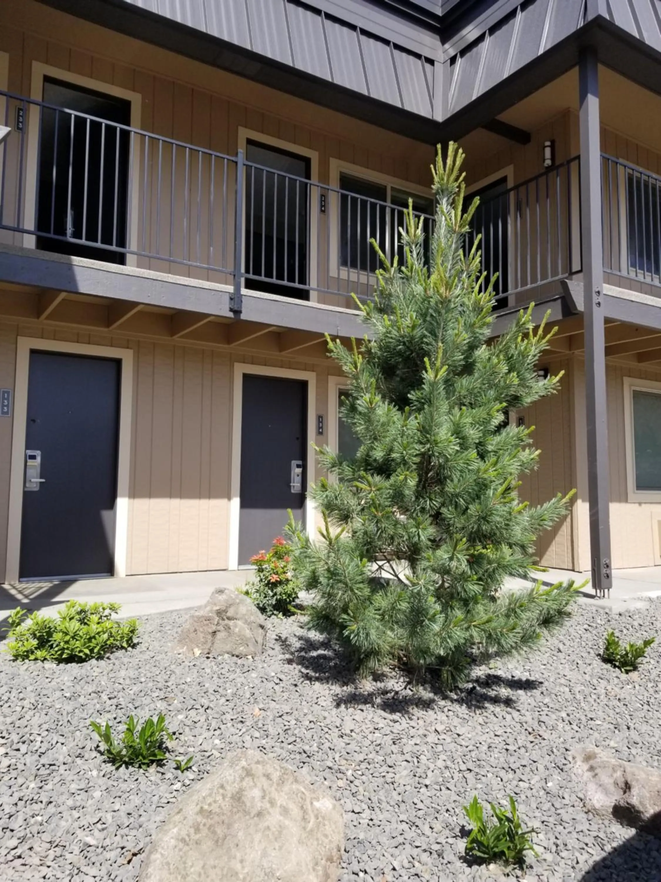 Property building in The Hotel Y