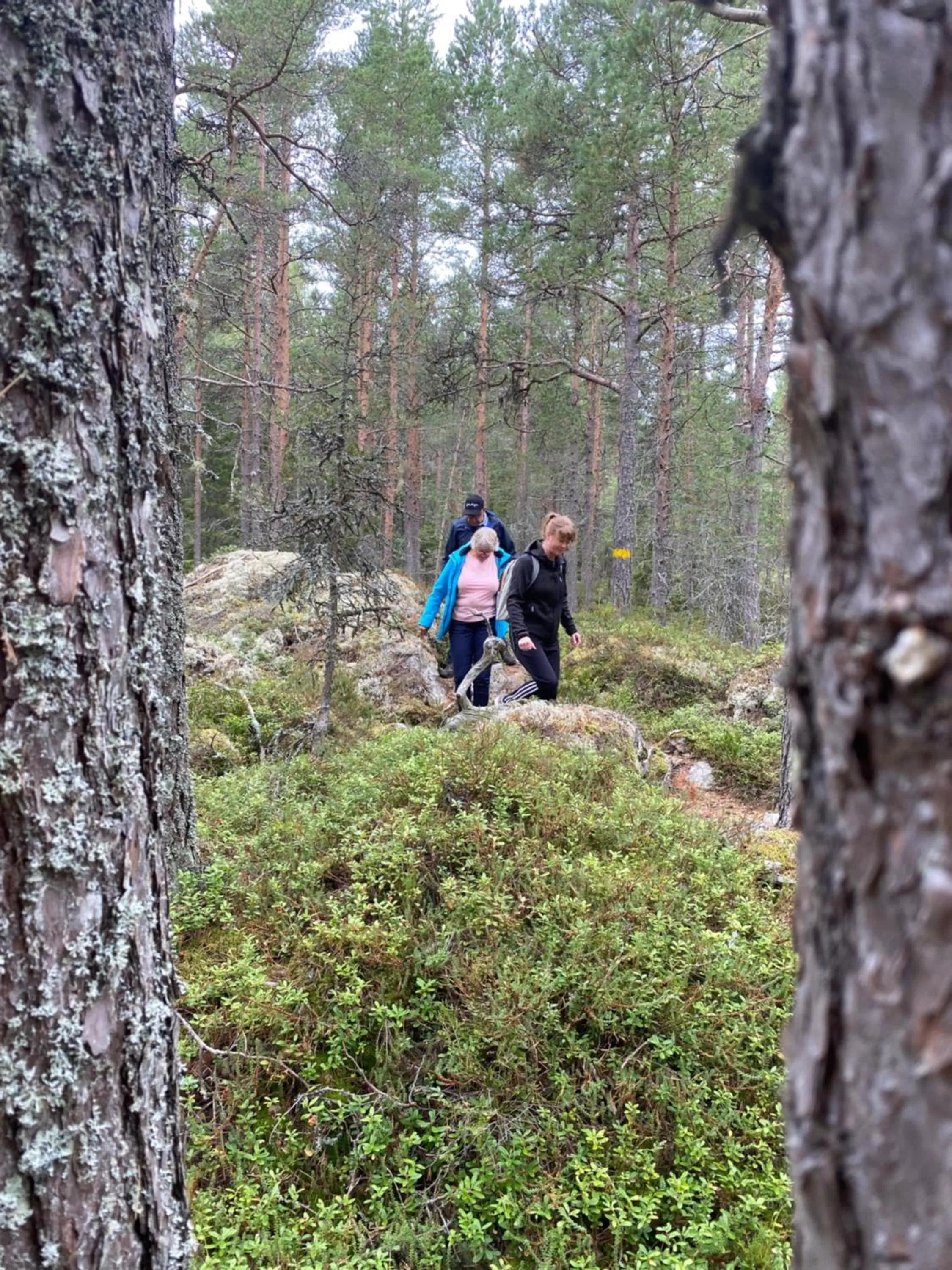 Hiking in Hedenstugan B&B Hotel