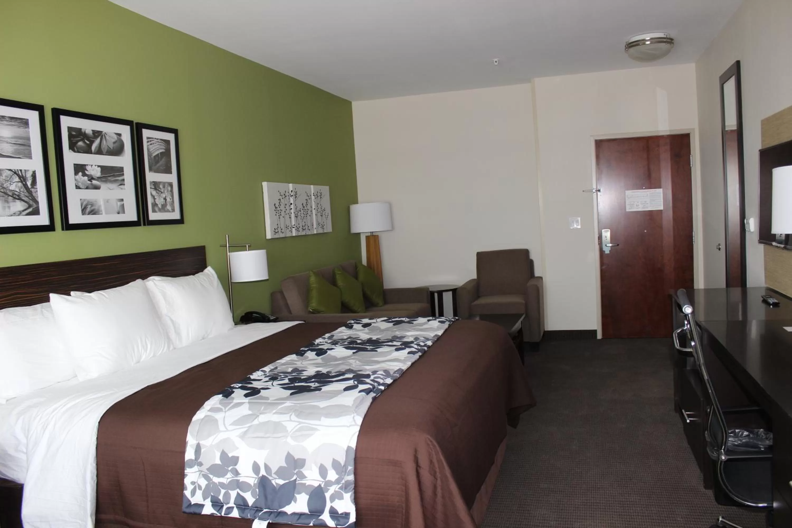 Bedroom, Bed in Sleep Inn & Suites Odessa near University