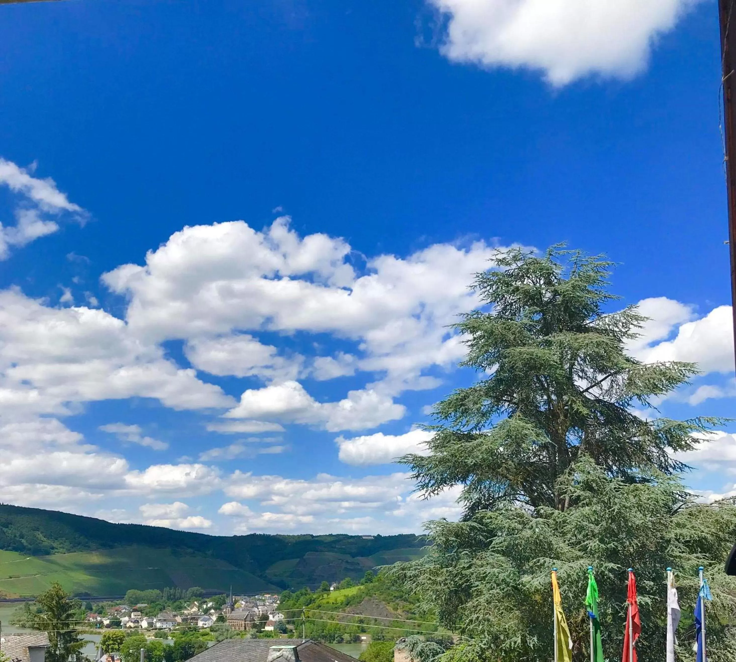 Garden in Haus Adams - das Wohlfühl Gästehaus