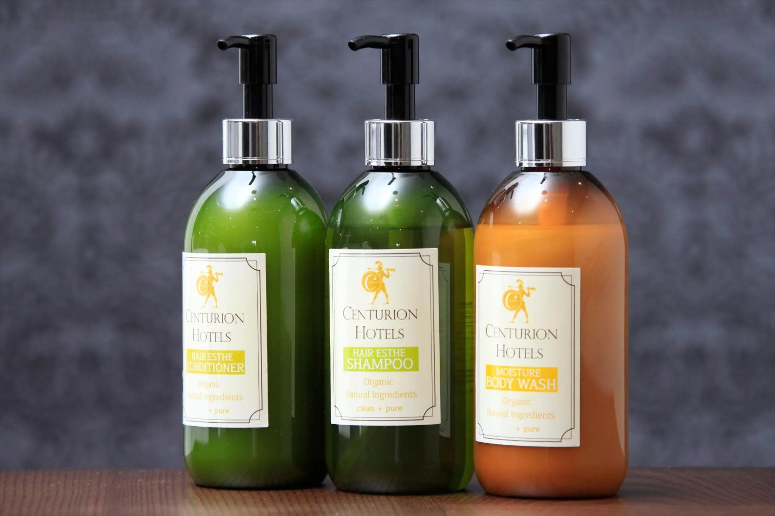 Other in Centurion Hotel Villa Suite Fukui Ekimae