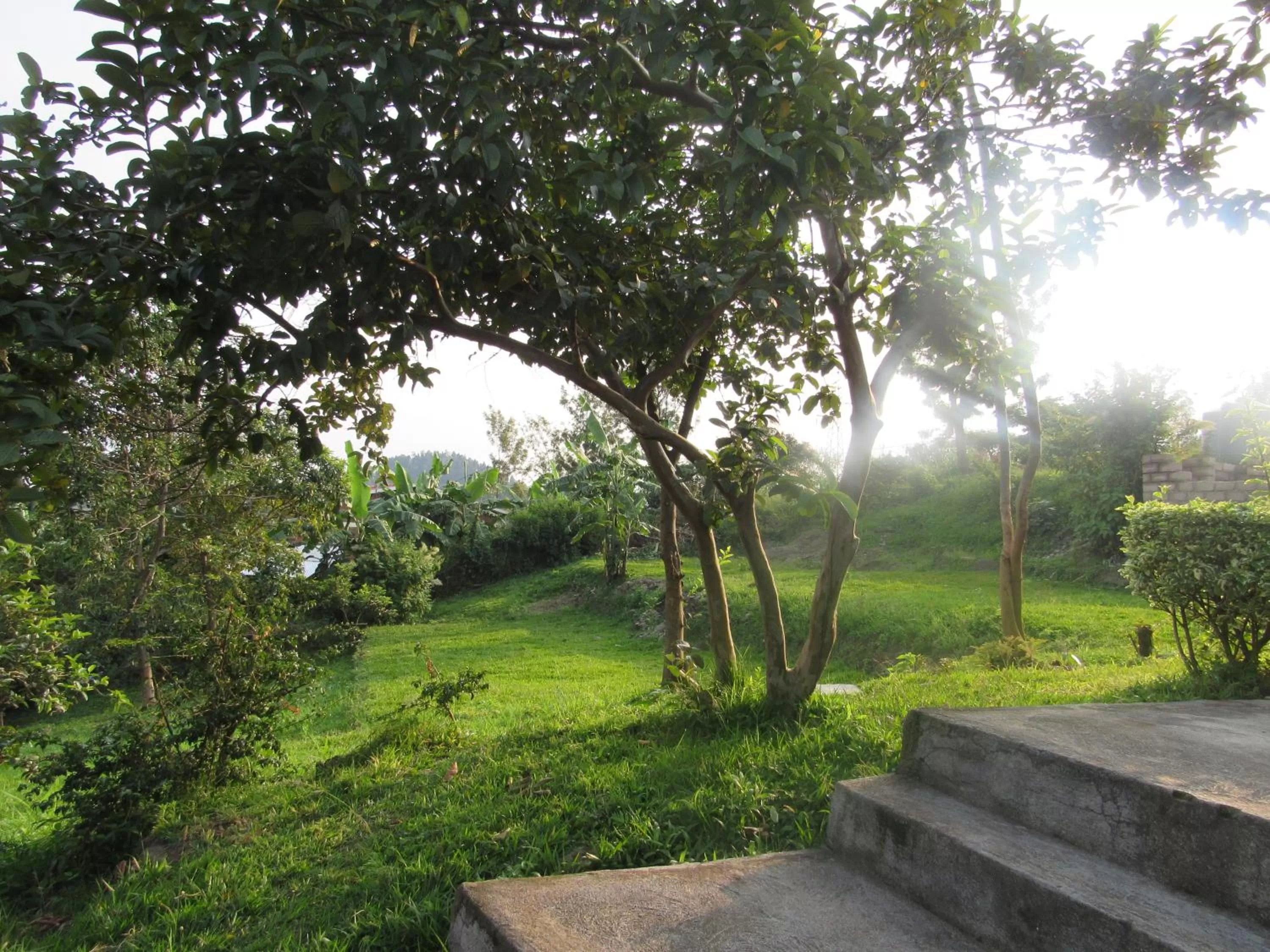 Garden view in Rebero Kivu Resort