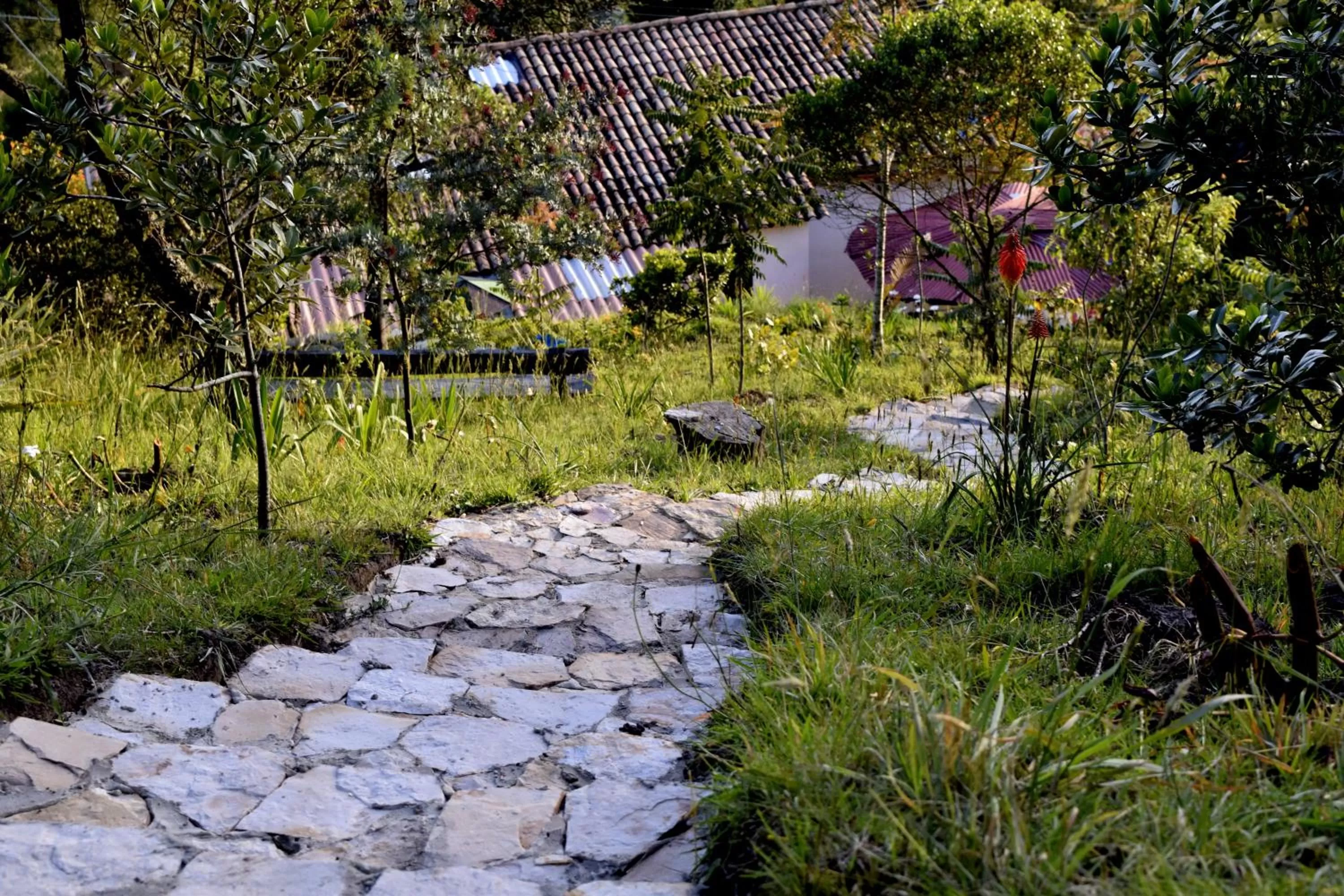Garden in El Pedregal Sopó