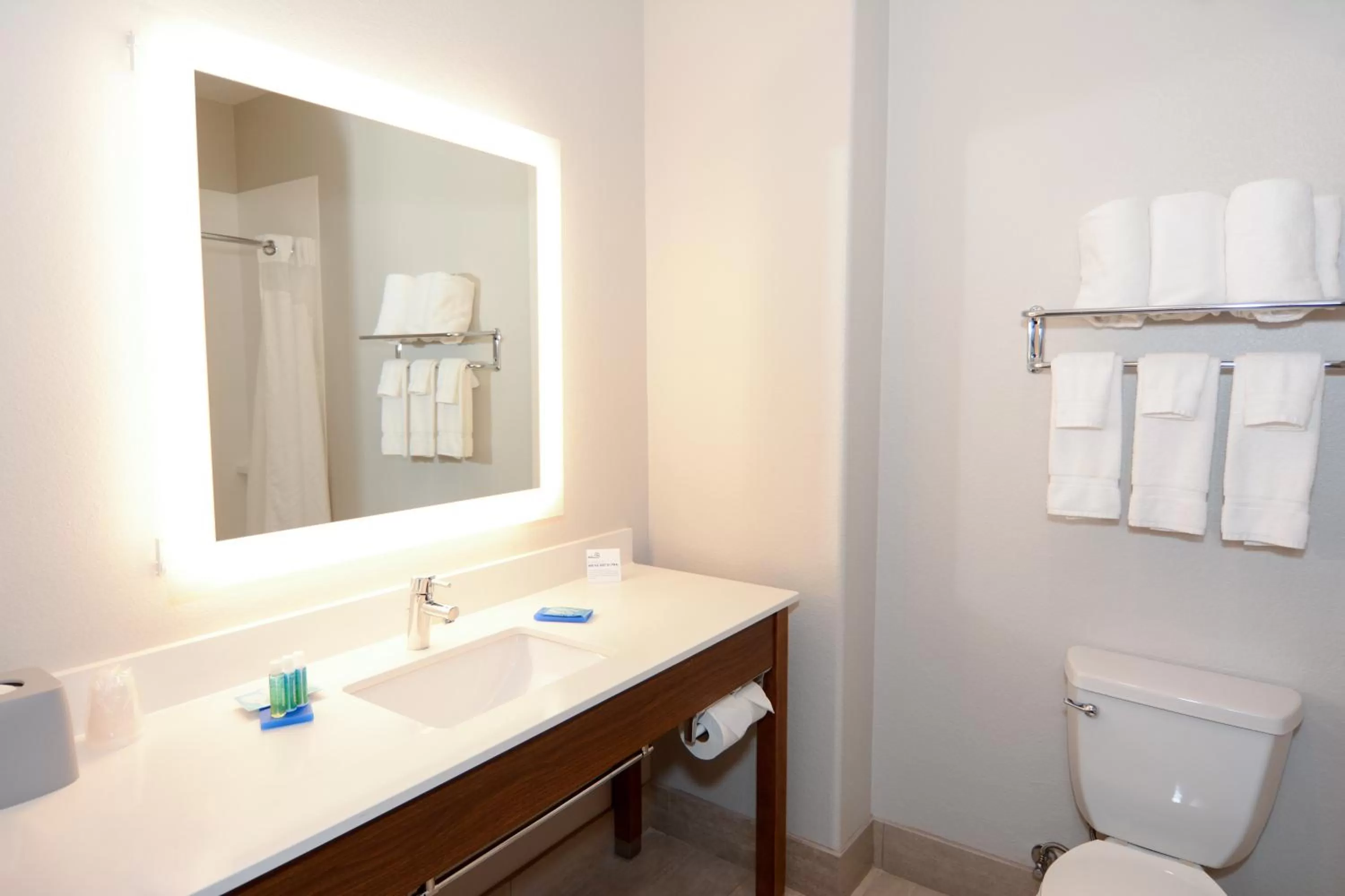 Bathroom in Holiday Inn Express Hotel & Suites New Boston by IHG