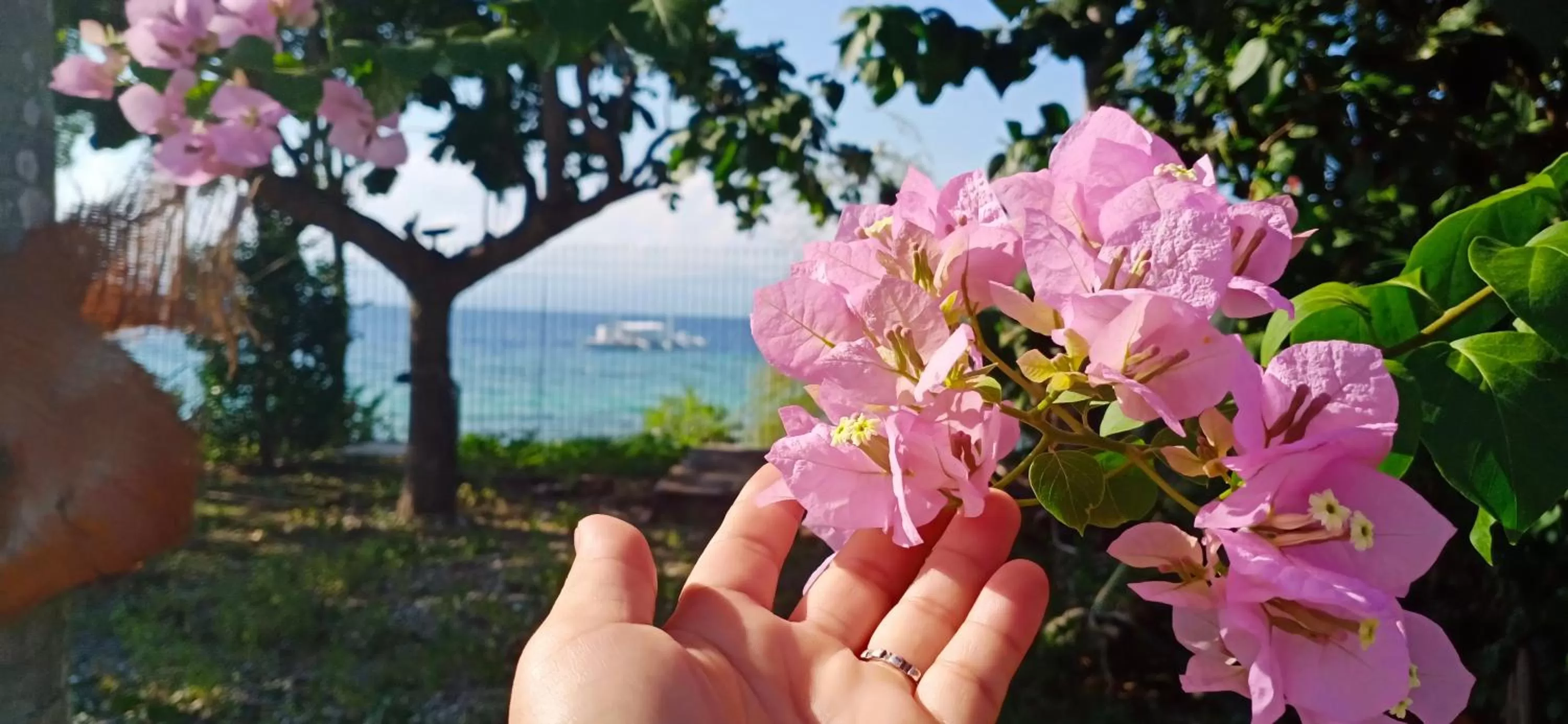 Garden in Ancelle Cristo Re