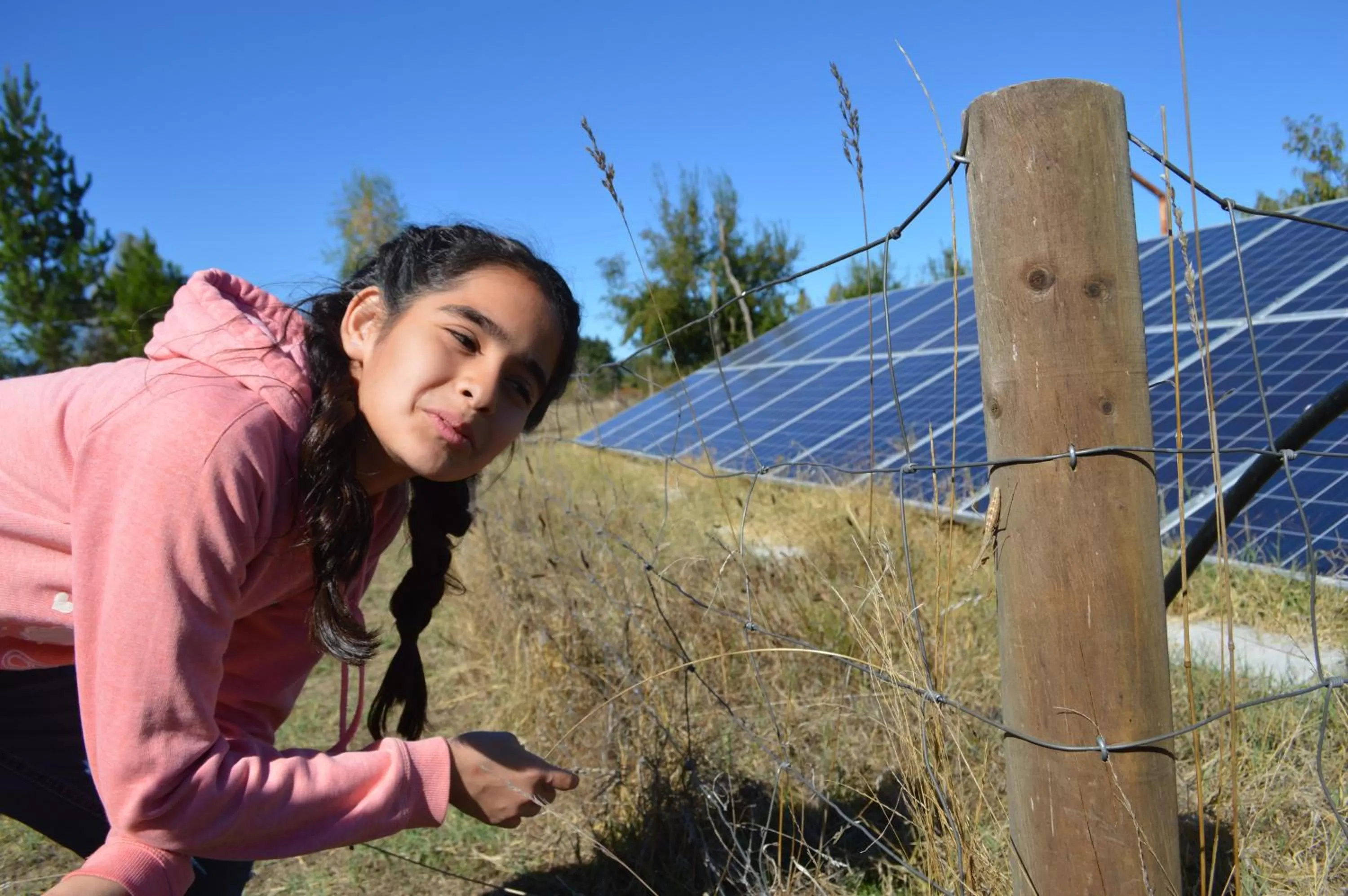 Coyunche Cabañas y Camping Laja & San Rosendo