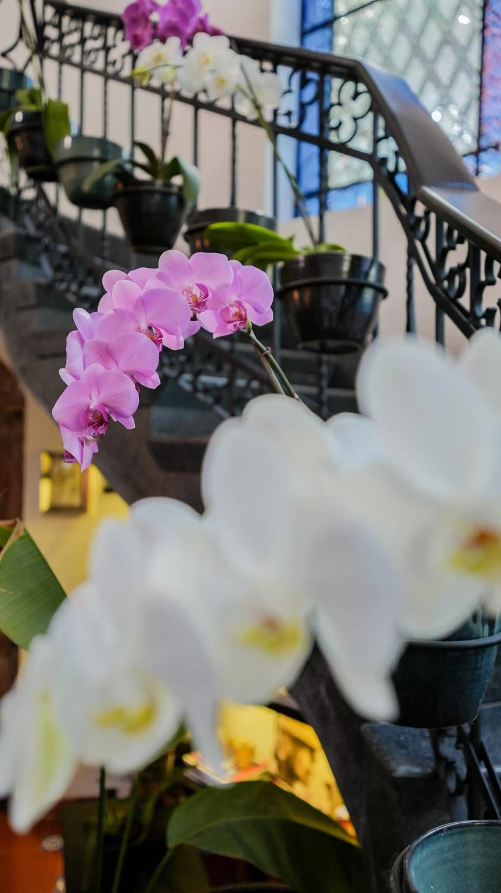 Lobby or reception in Orchid House Mexico City