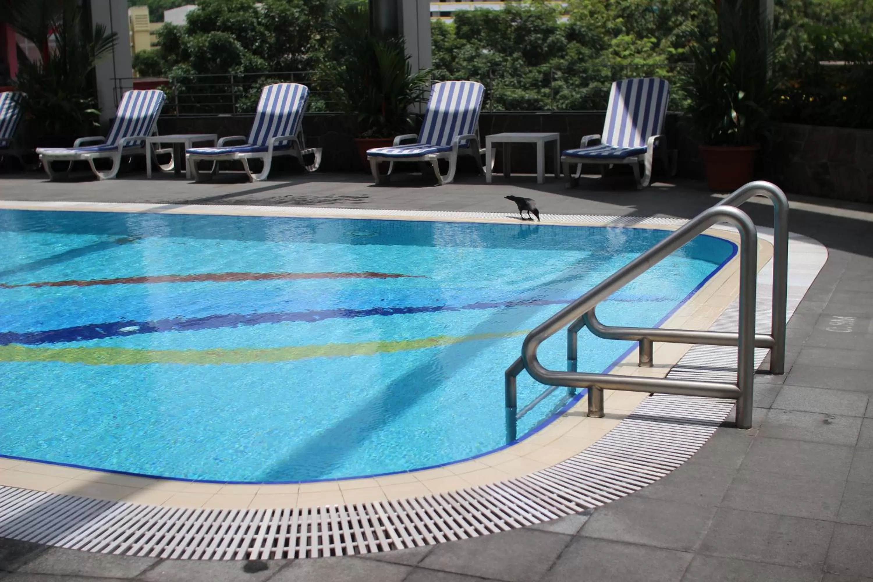 Swimming pool in Furama City Centre