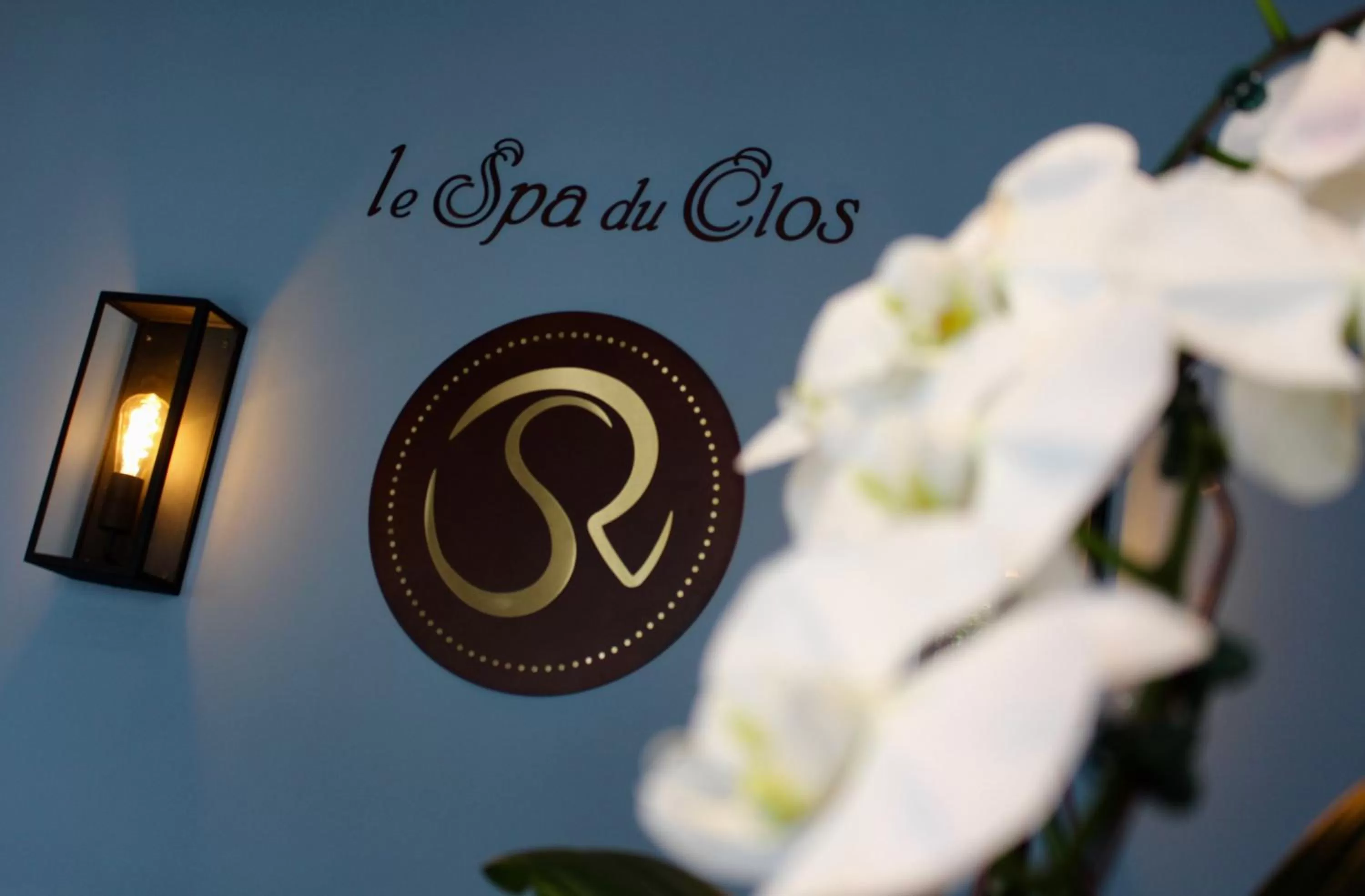 Spa and wellness centre/facilities in Chateau du Clos de la Ribaudiere - Teritoria