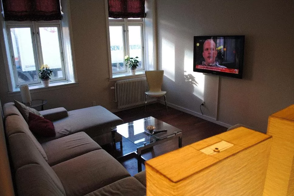 TV and multimedia in Det Lille Hotel