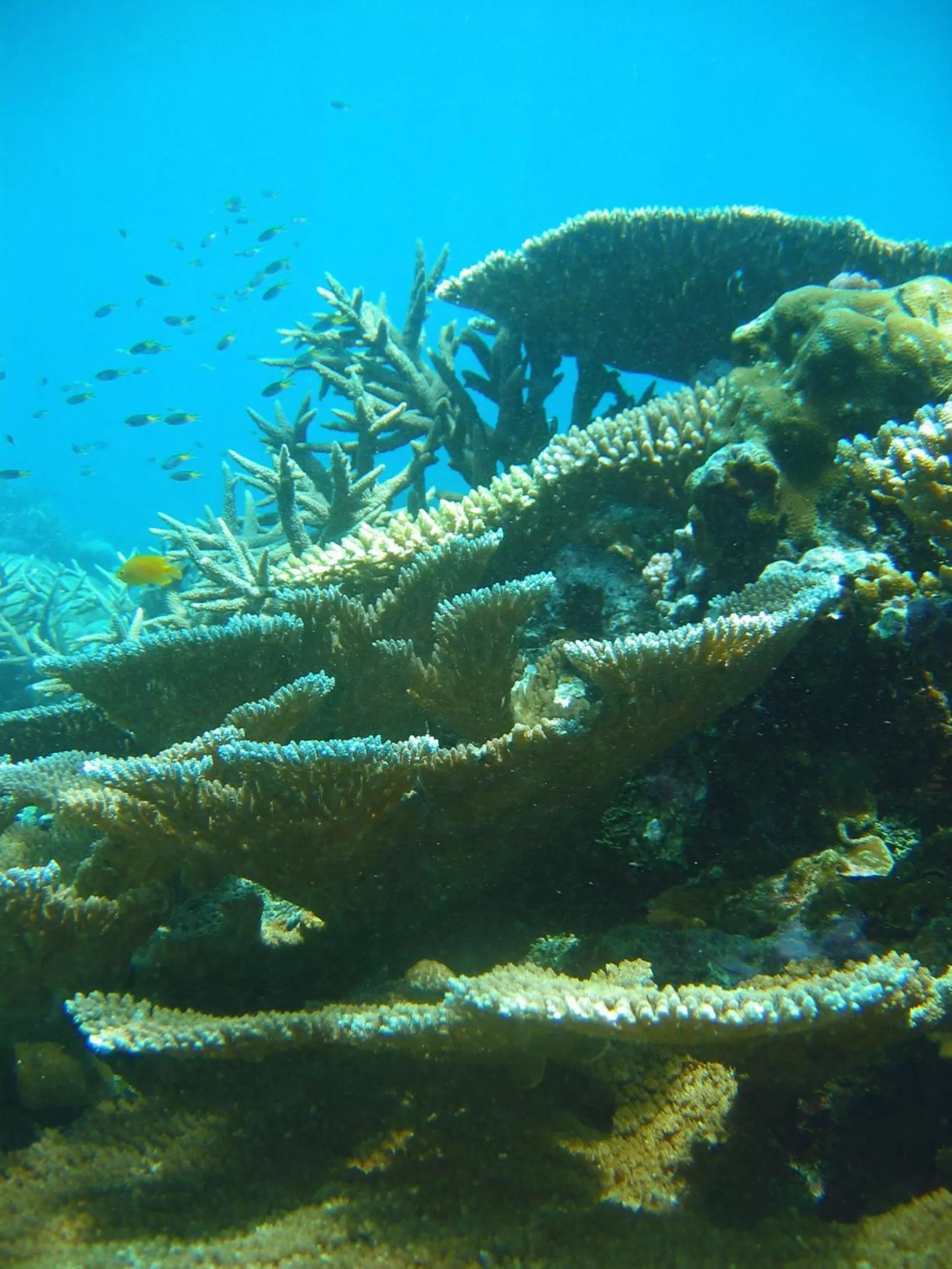 Activities in Turtle Bay Lodge