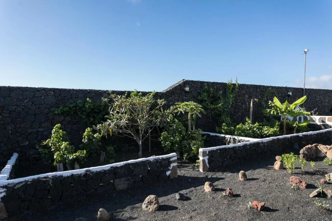 Garden view in Villa El Jable Lanzarote