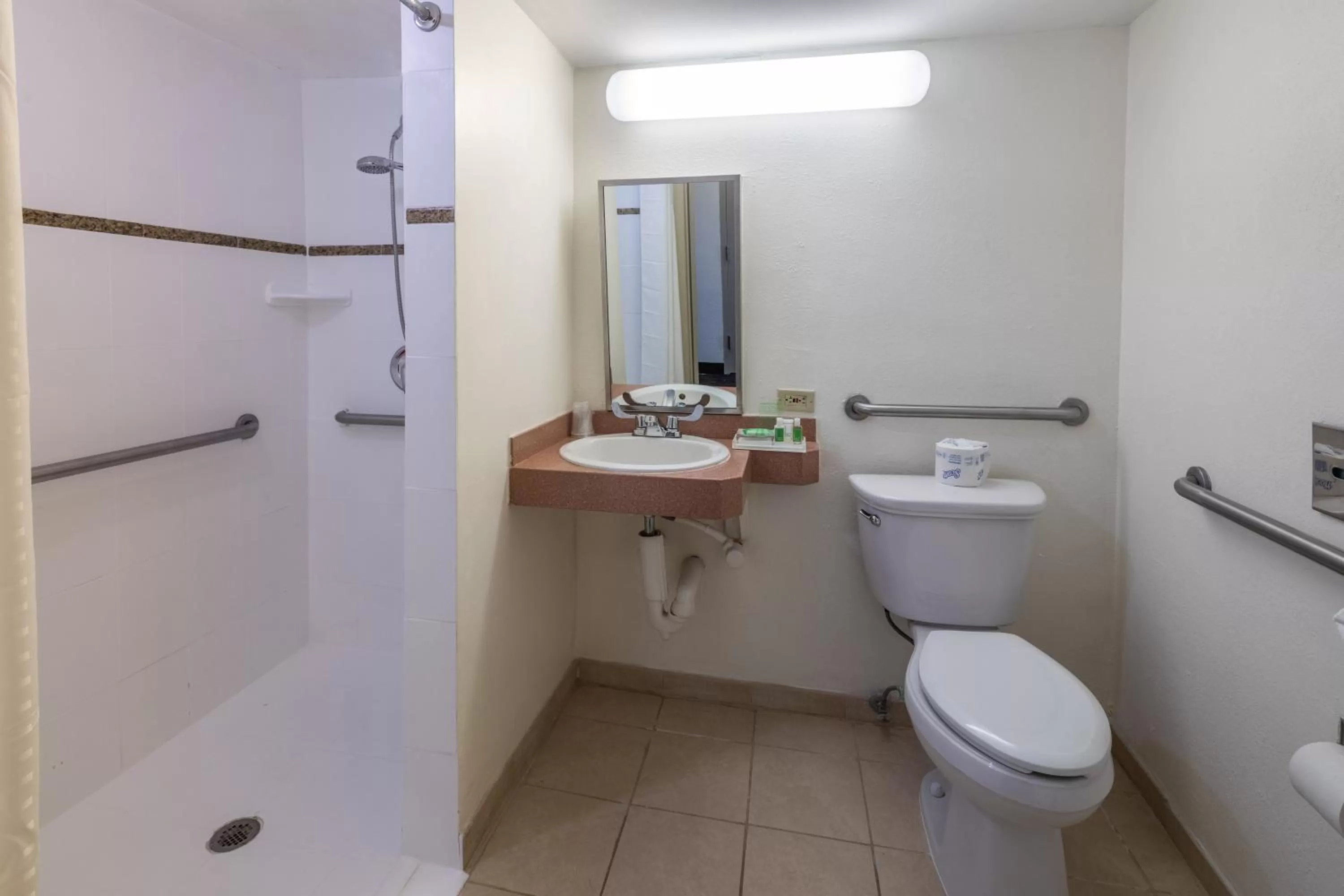 Bathroom in Holiday Inn Hotel Port of Miami-Downtown by IHG