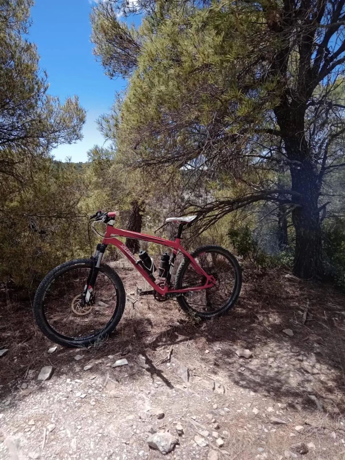 Cycling, Other Activities in B&B Casa Claví