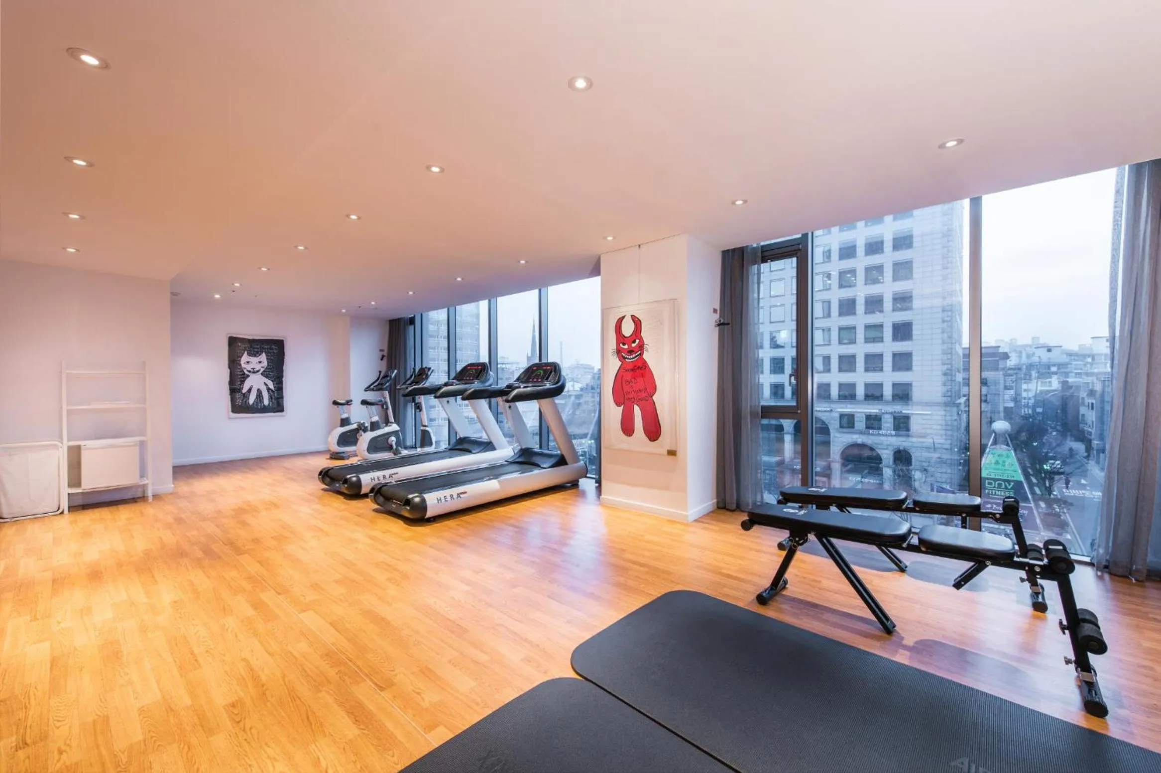 Fitness centre/facilities in Hotel Peyto Gangnam