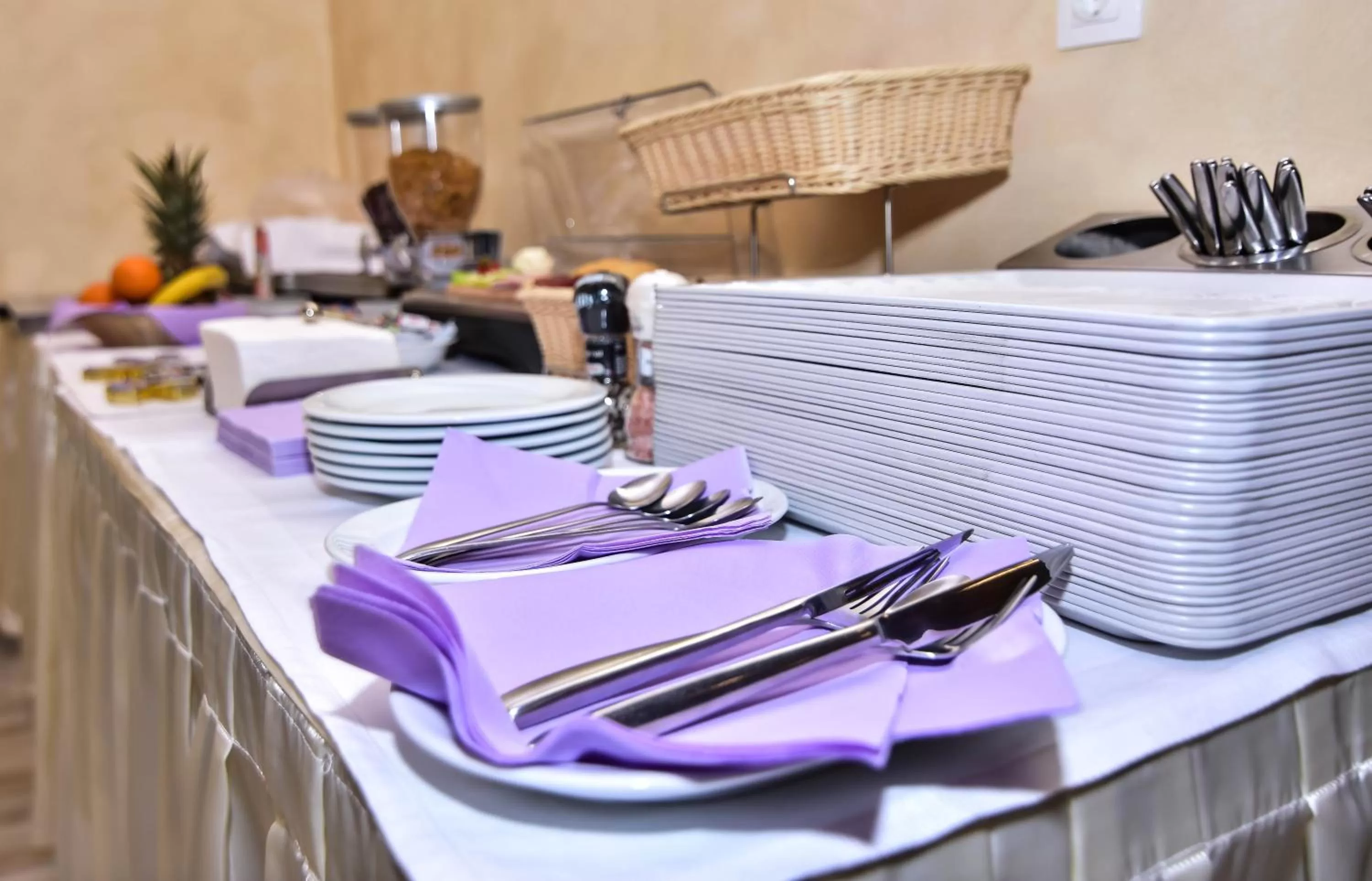 Restaurant/Places to Eat in Hotel Ključ